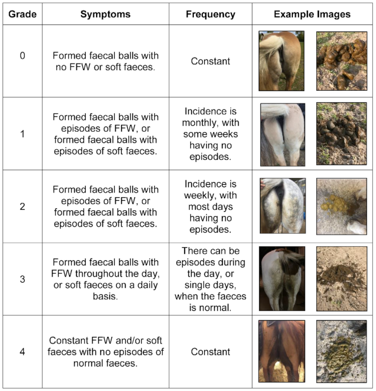 Animals 11 02776 g002