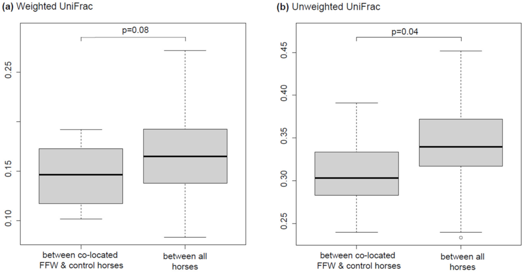 Animals 11 02776 g004