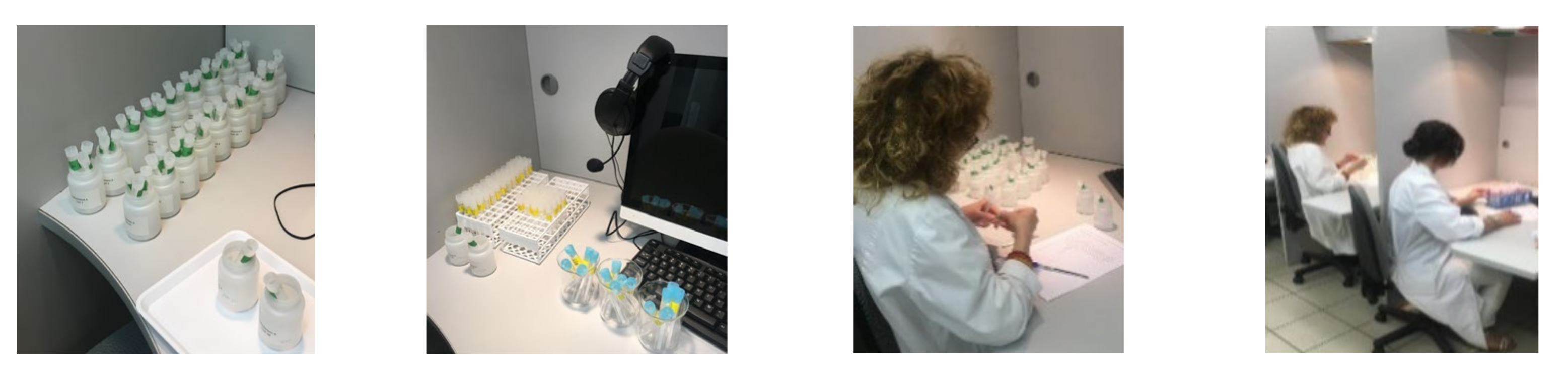 Animals 11 02786 g001 550