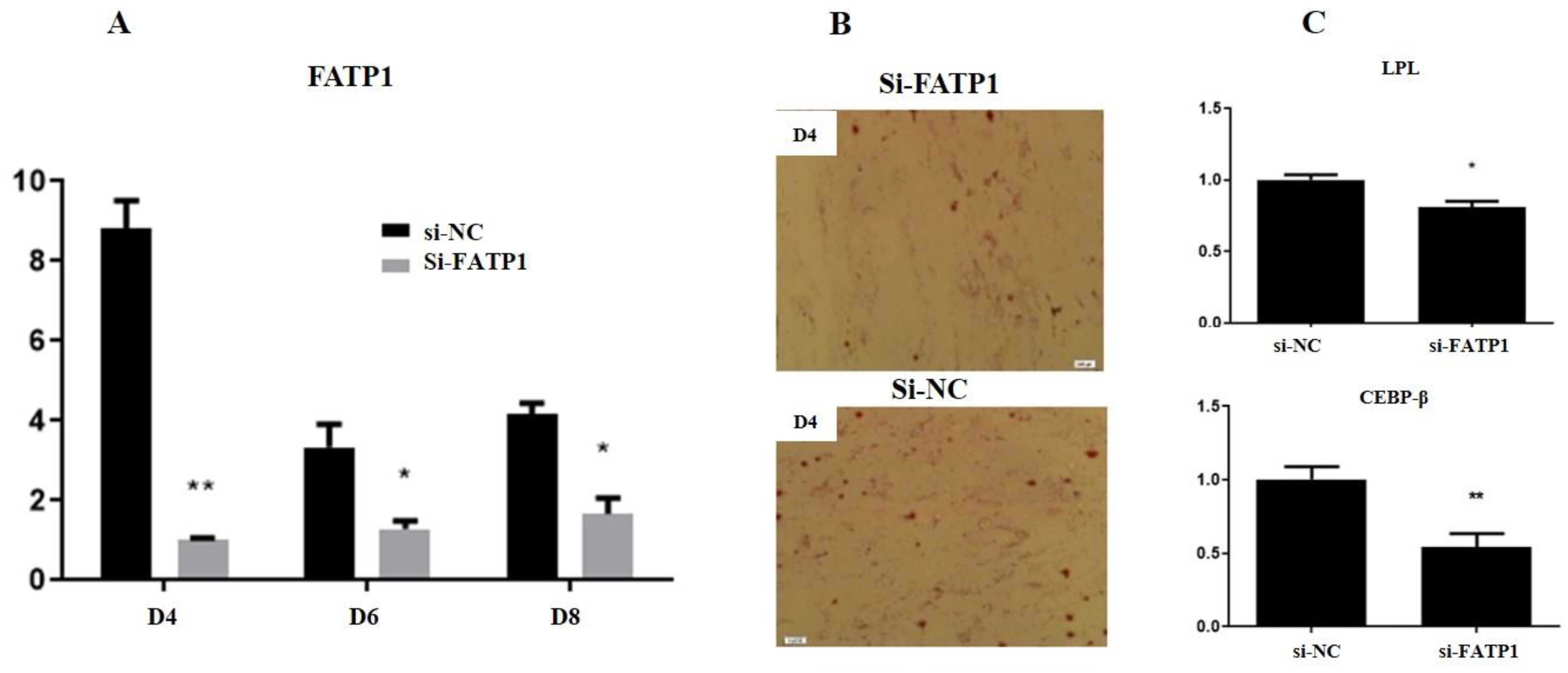 Animals 11 02789 g003