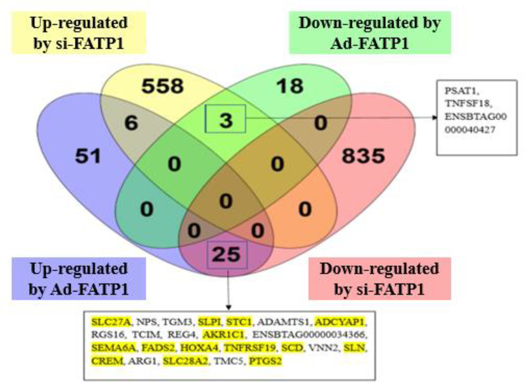 Animals 11 02789 g004