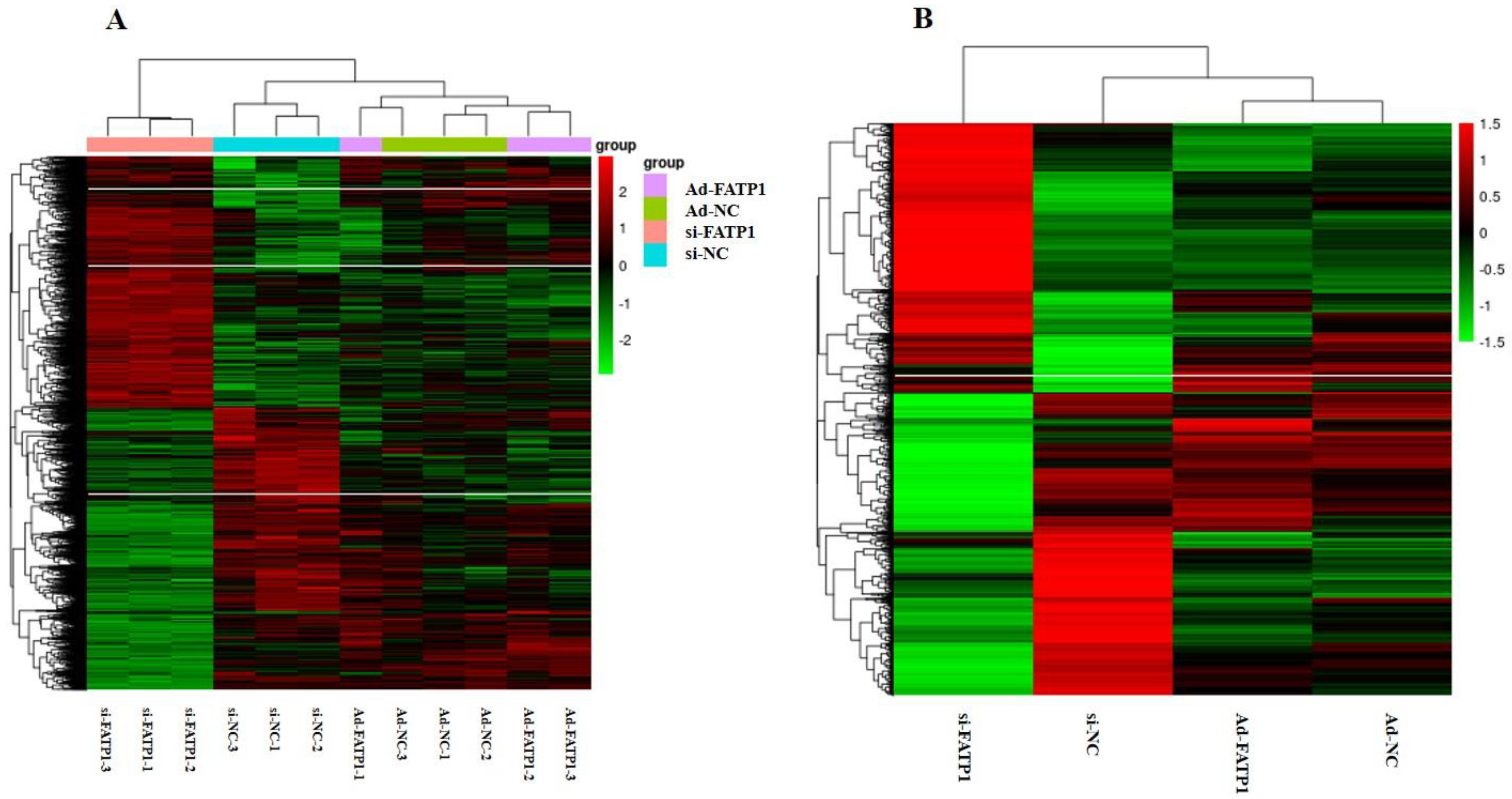 Animals 11 02789 g005