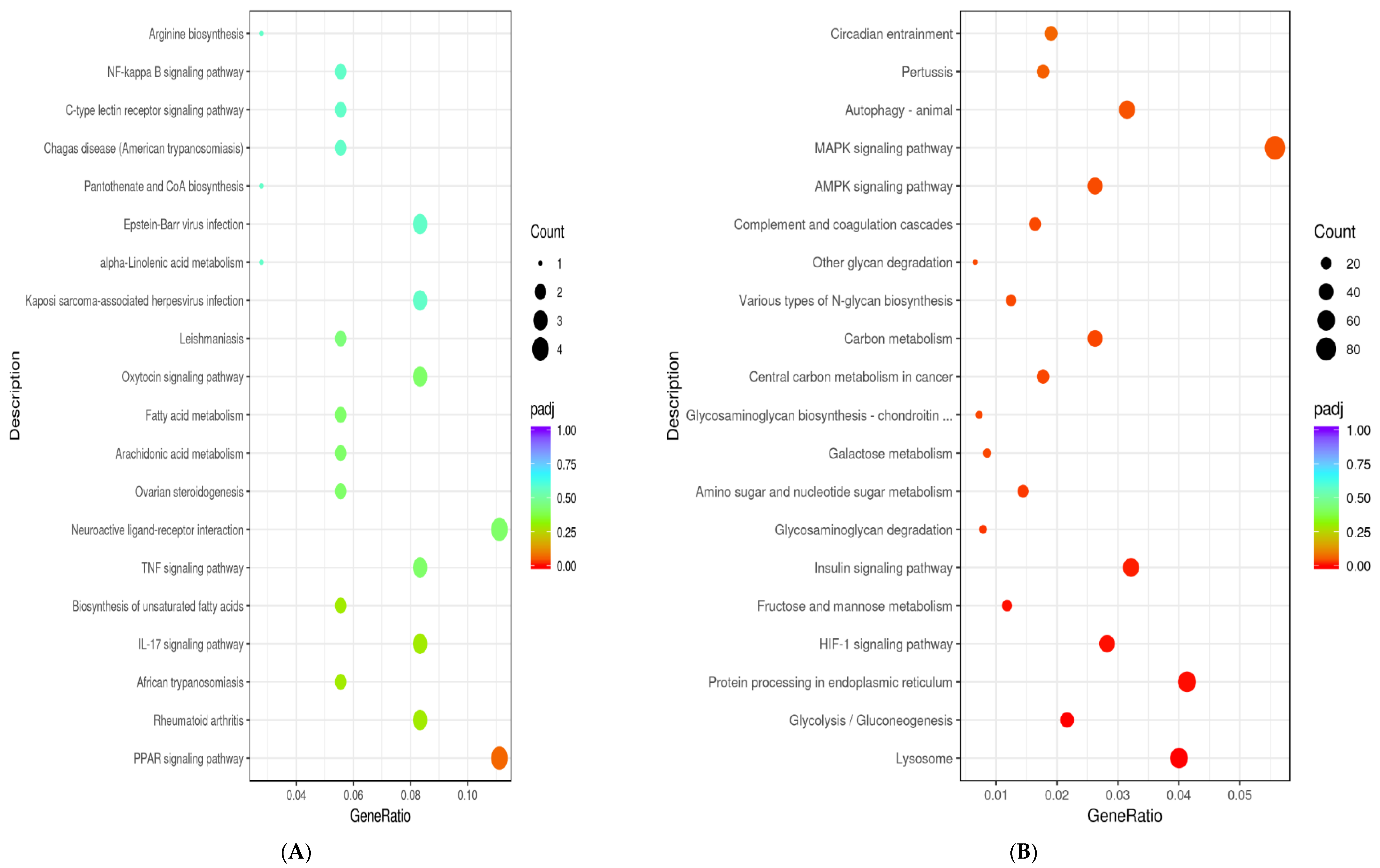 Animals 11 02789 g007