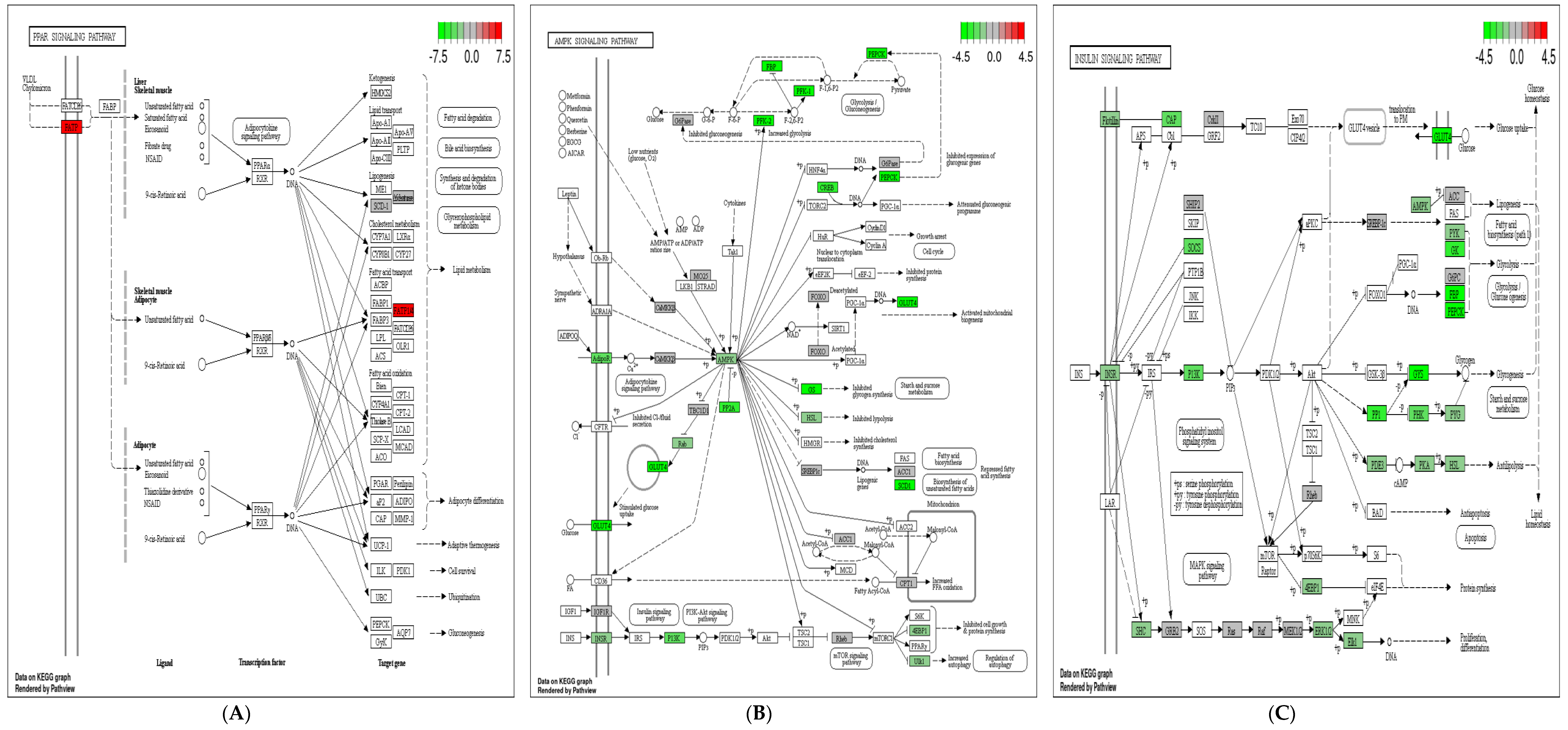 Animals 11 02789 g008