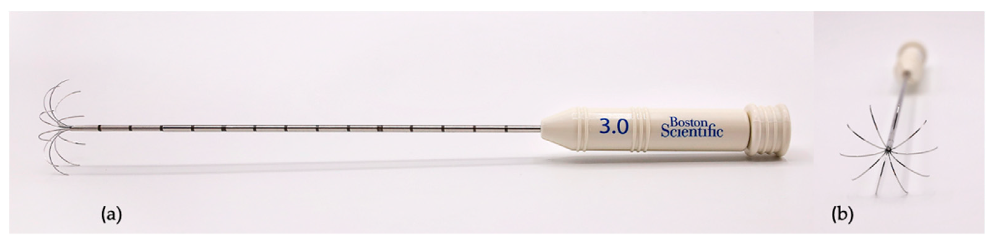 Animals 11 02790 g001 550