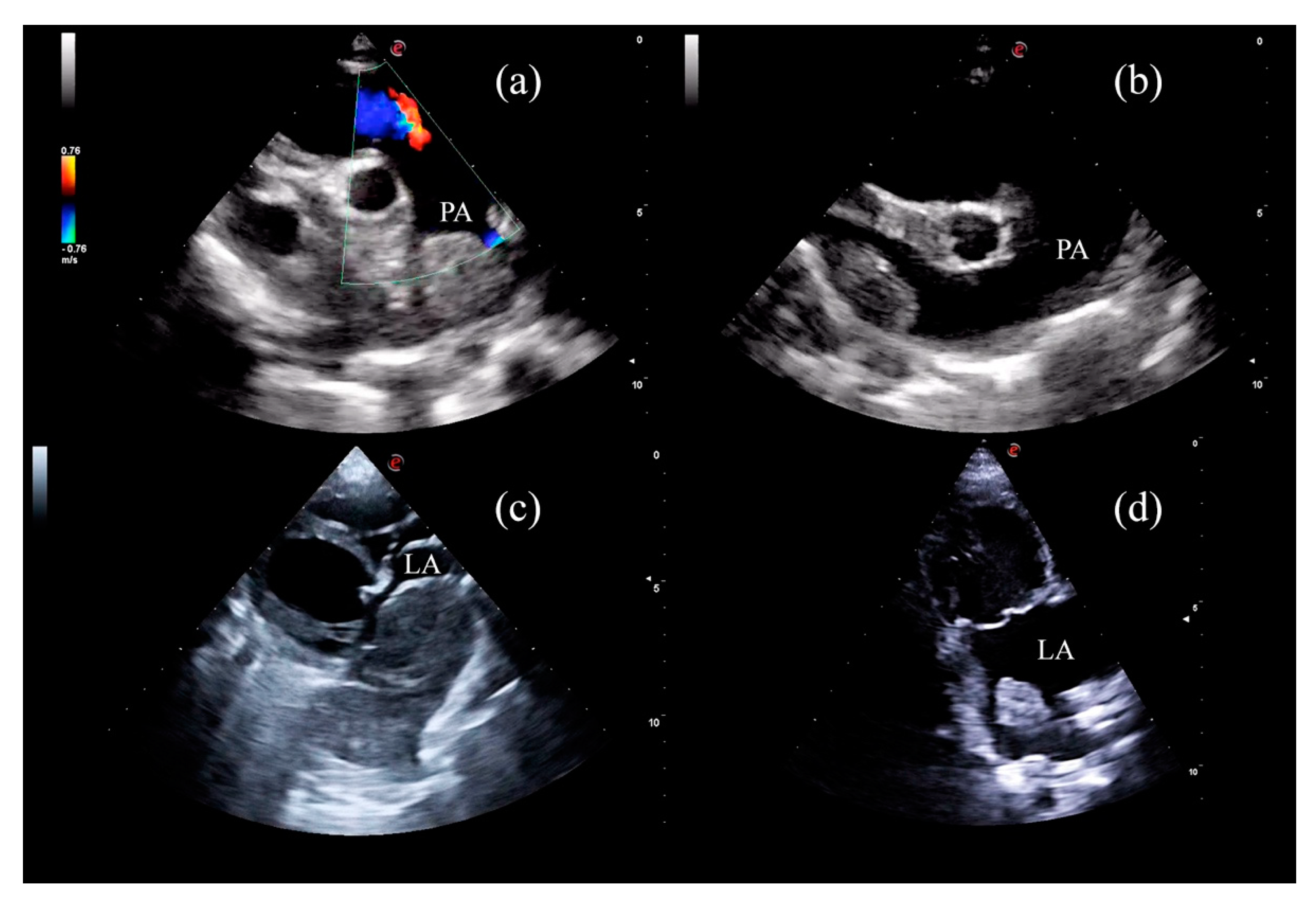 Animals 11 02790 g004 550