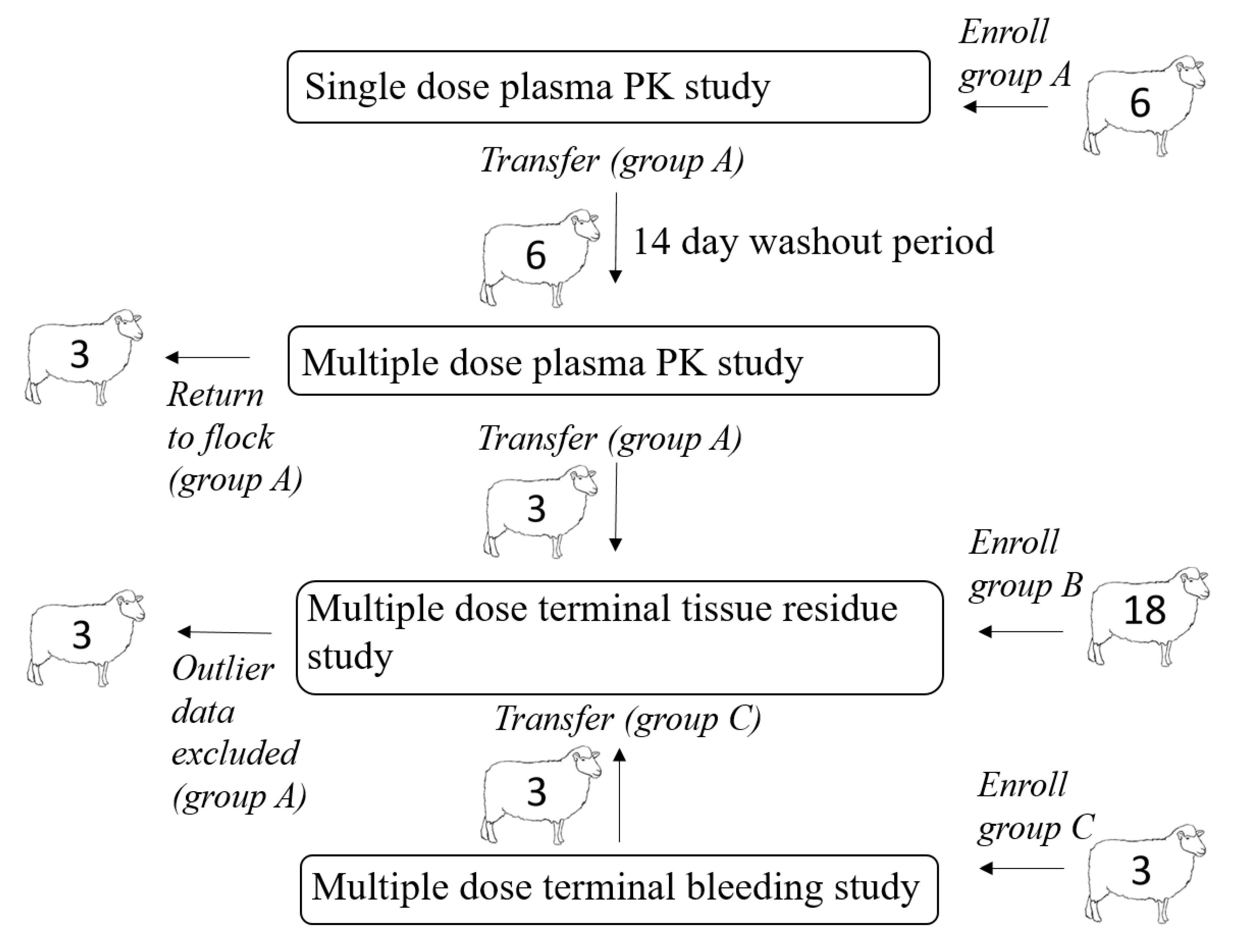 Animals 11 02797 g001