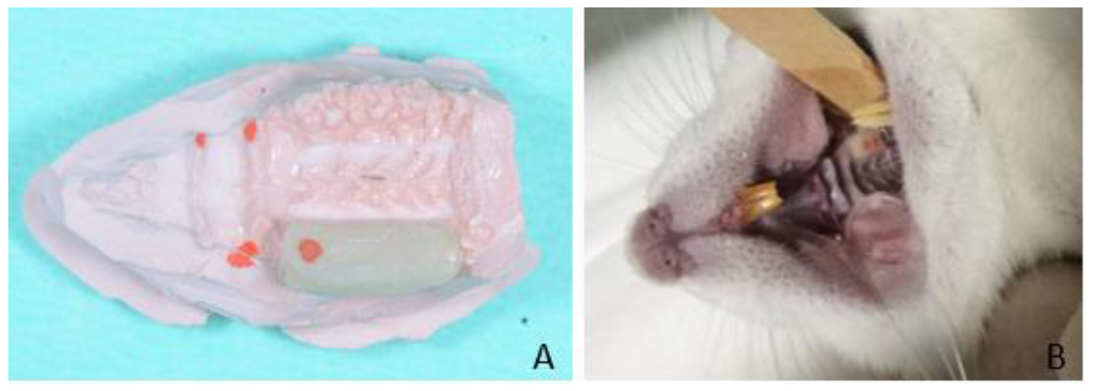 Animals 11 02808 g001