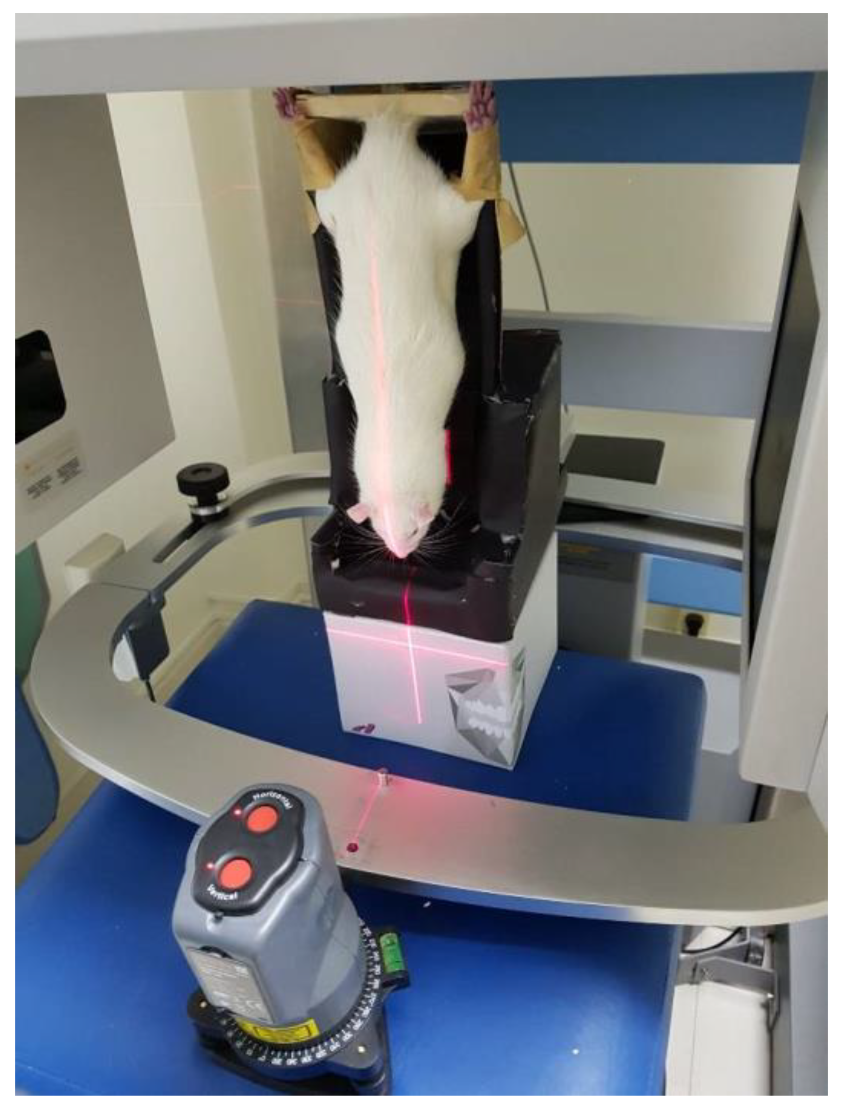 Animals 11 02808 g002