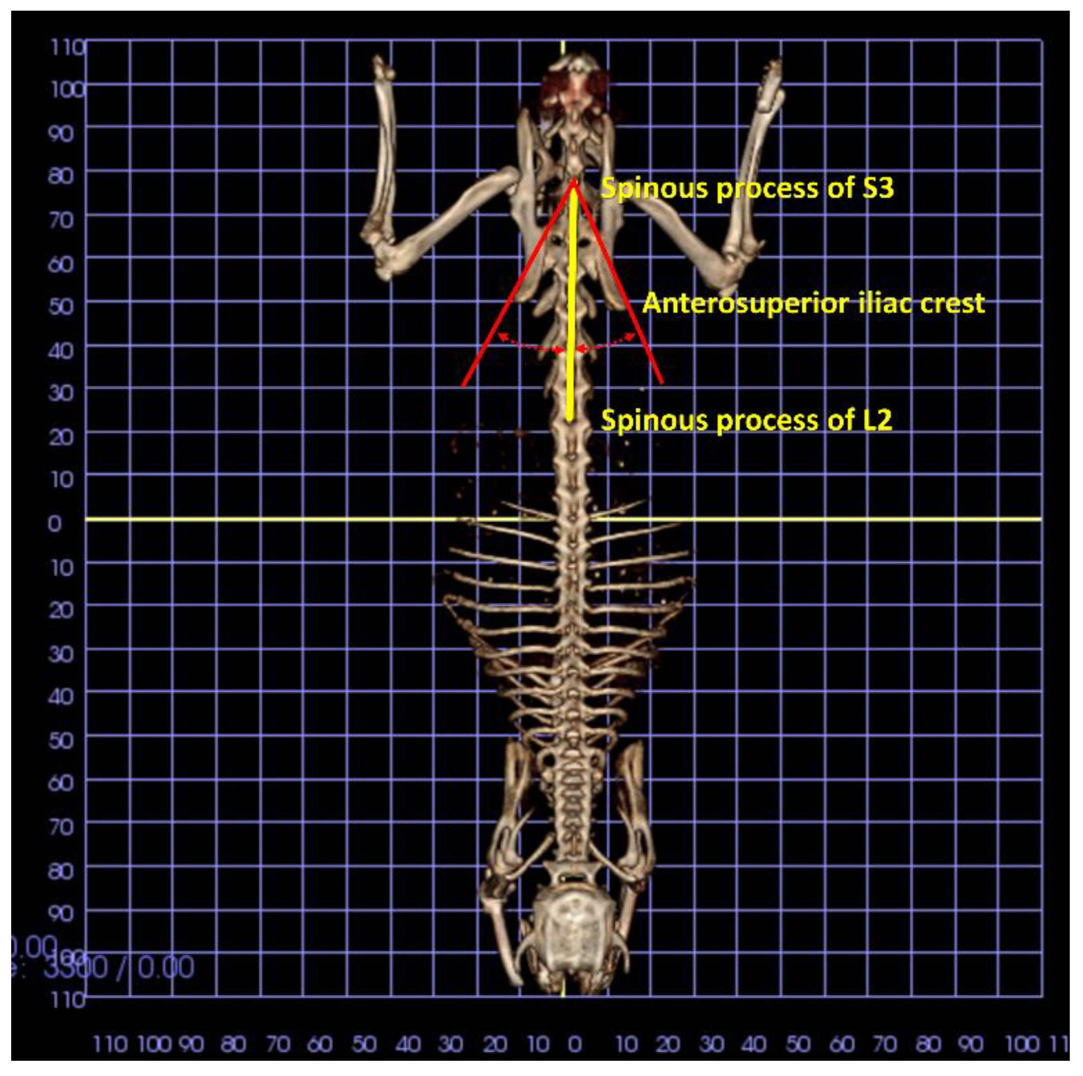 Animals 11 02808 g003