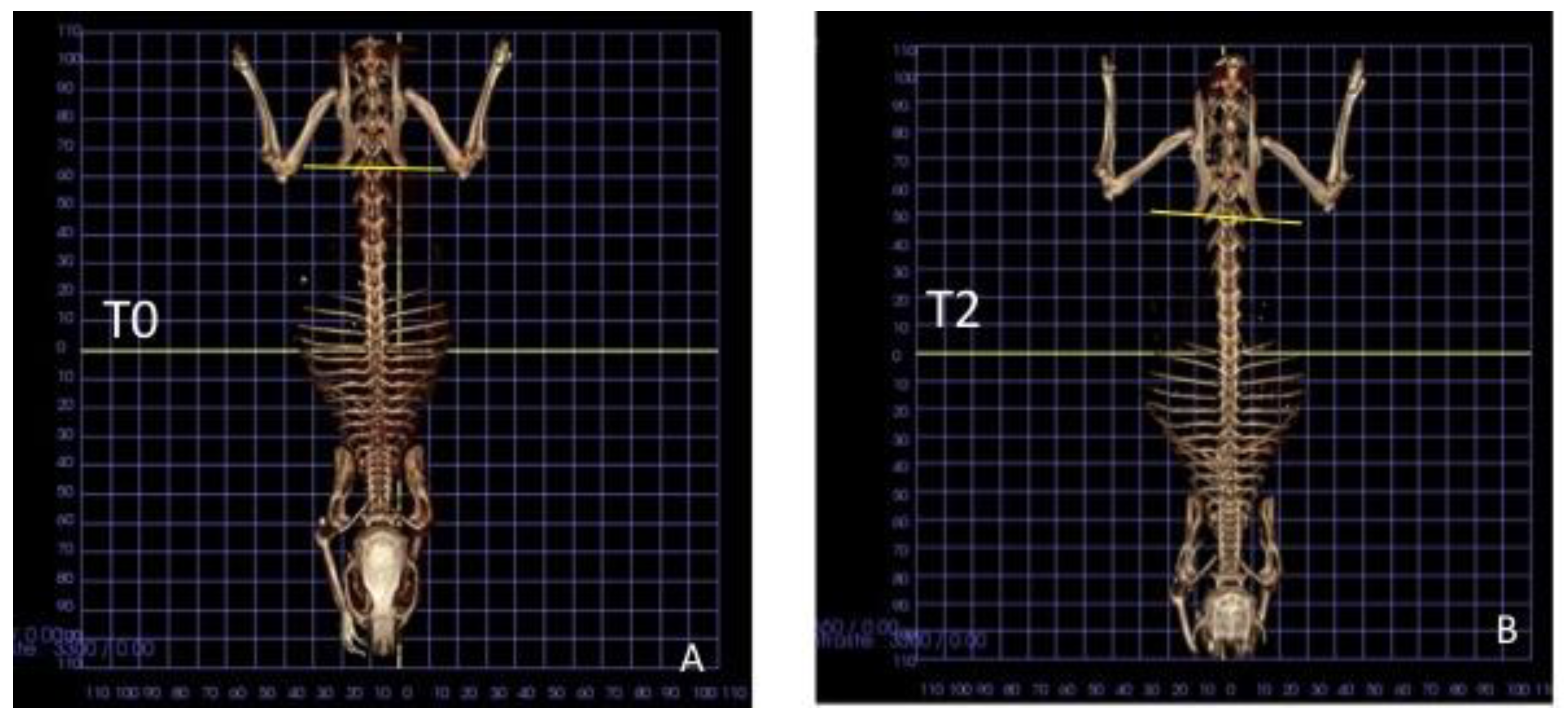 Animals 11 02808 g004