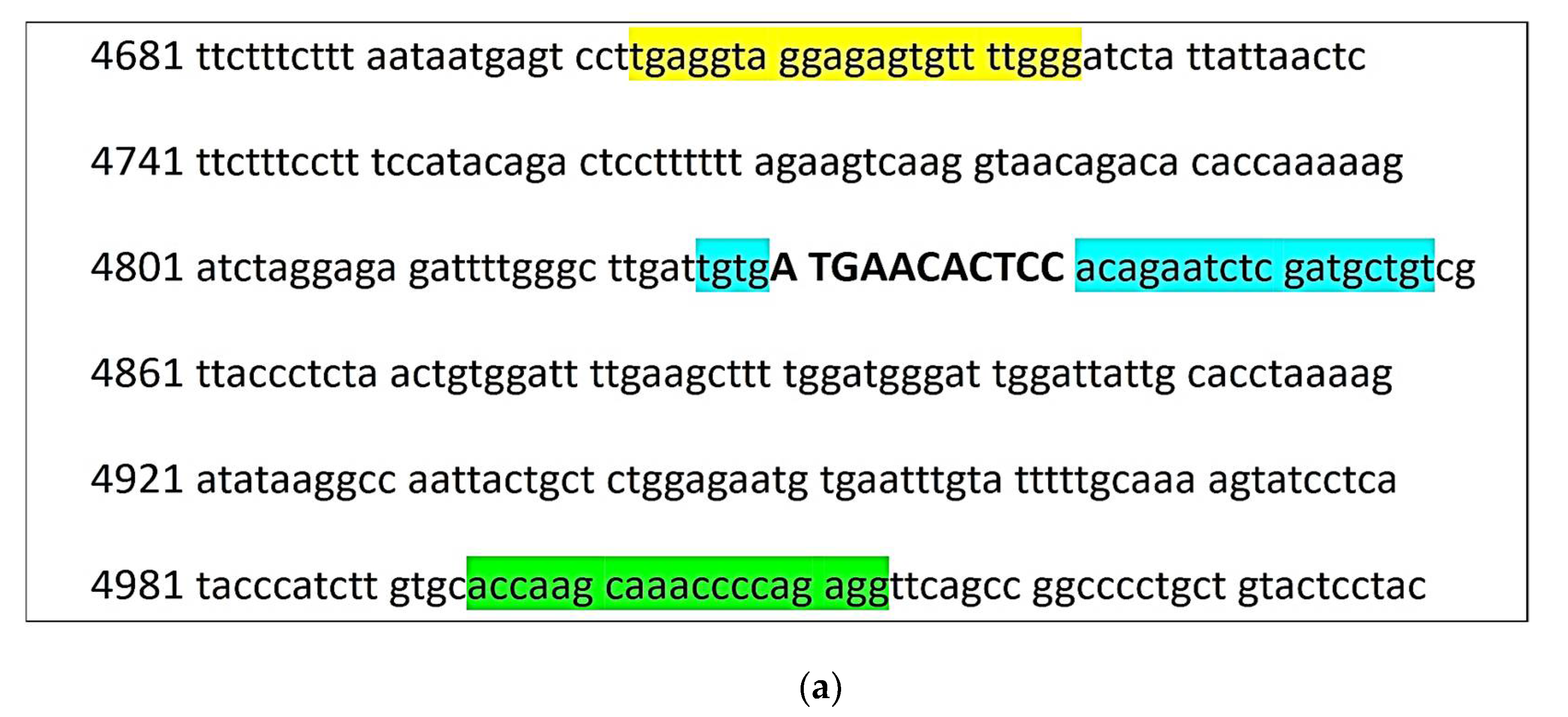 Animals 11 02810 g001a 550