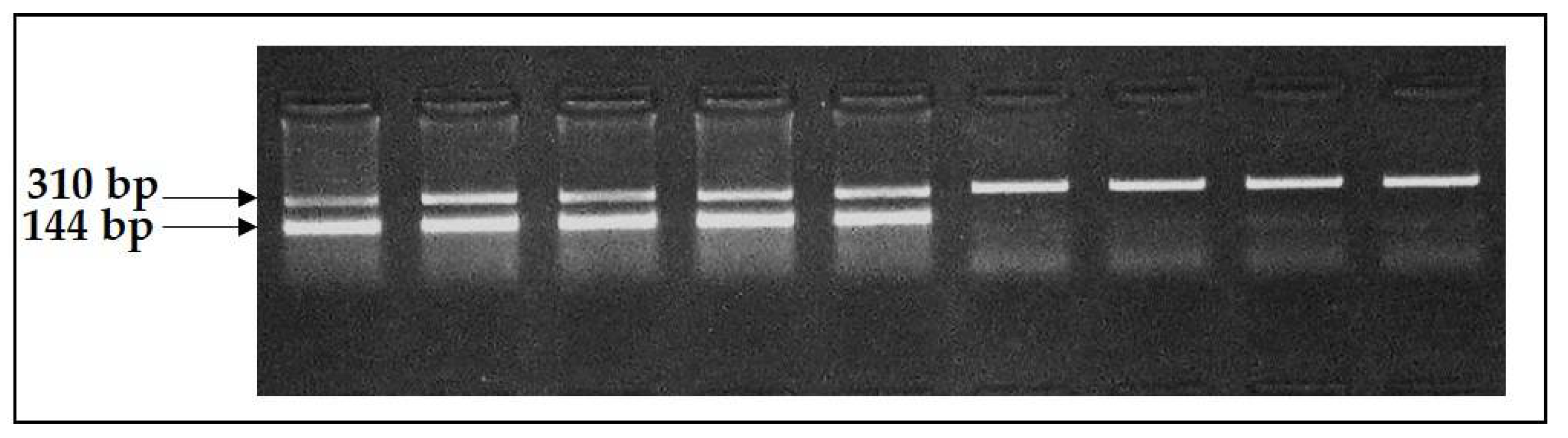 Animals 11 02810 g002 550