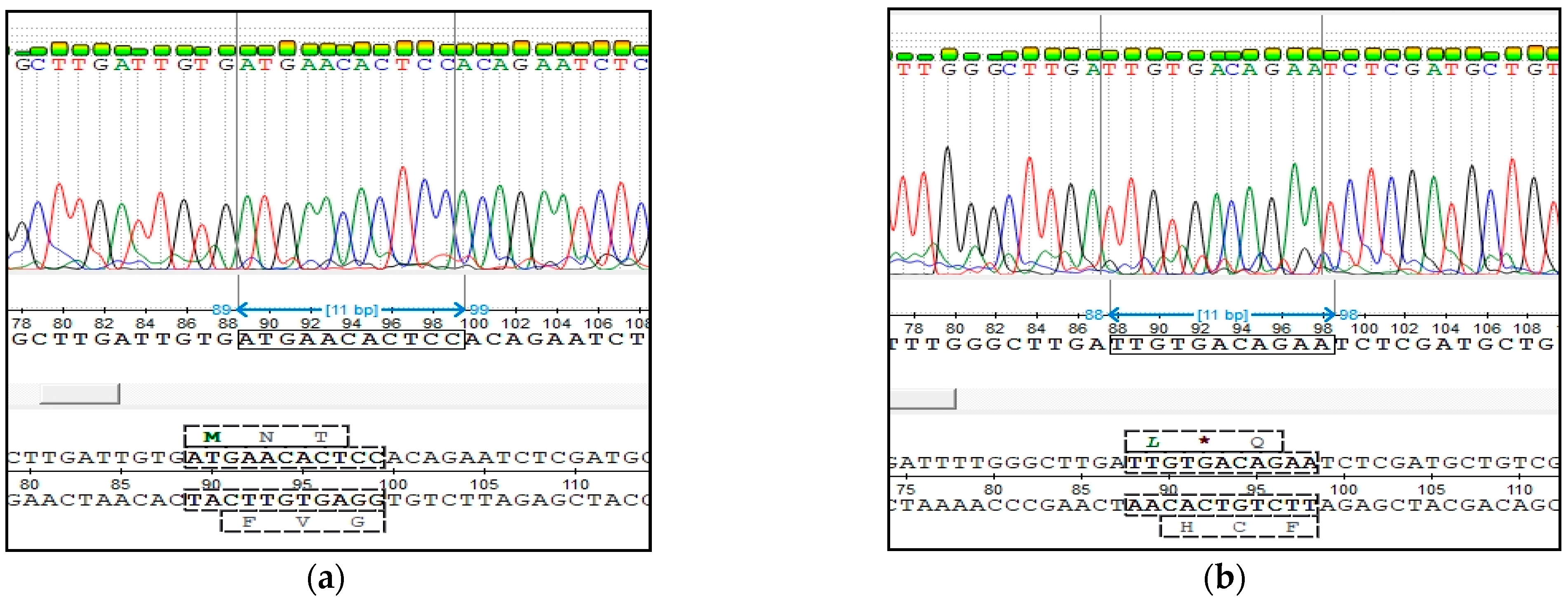Animals 11 02810 g004 550