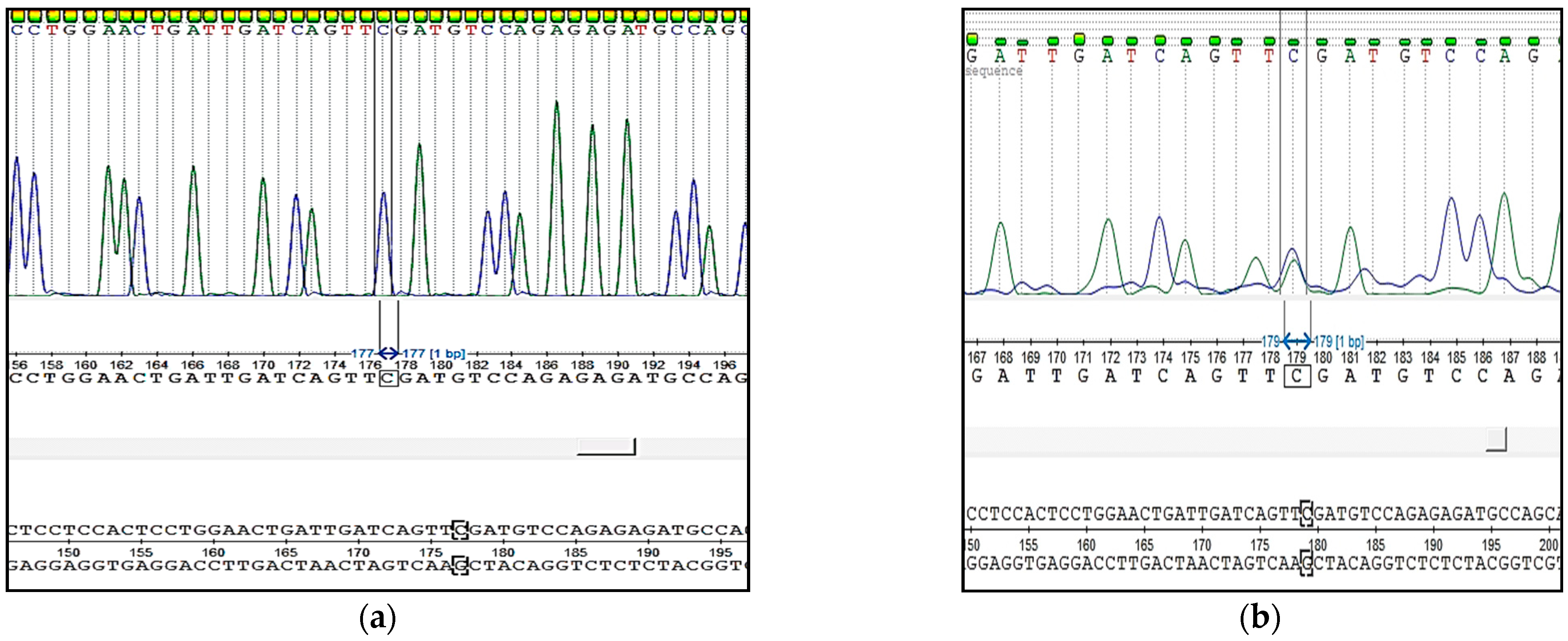 Animals 11 02810 g005 550
