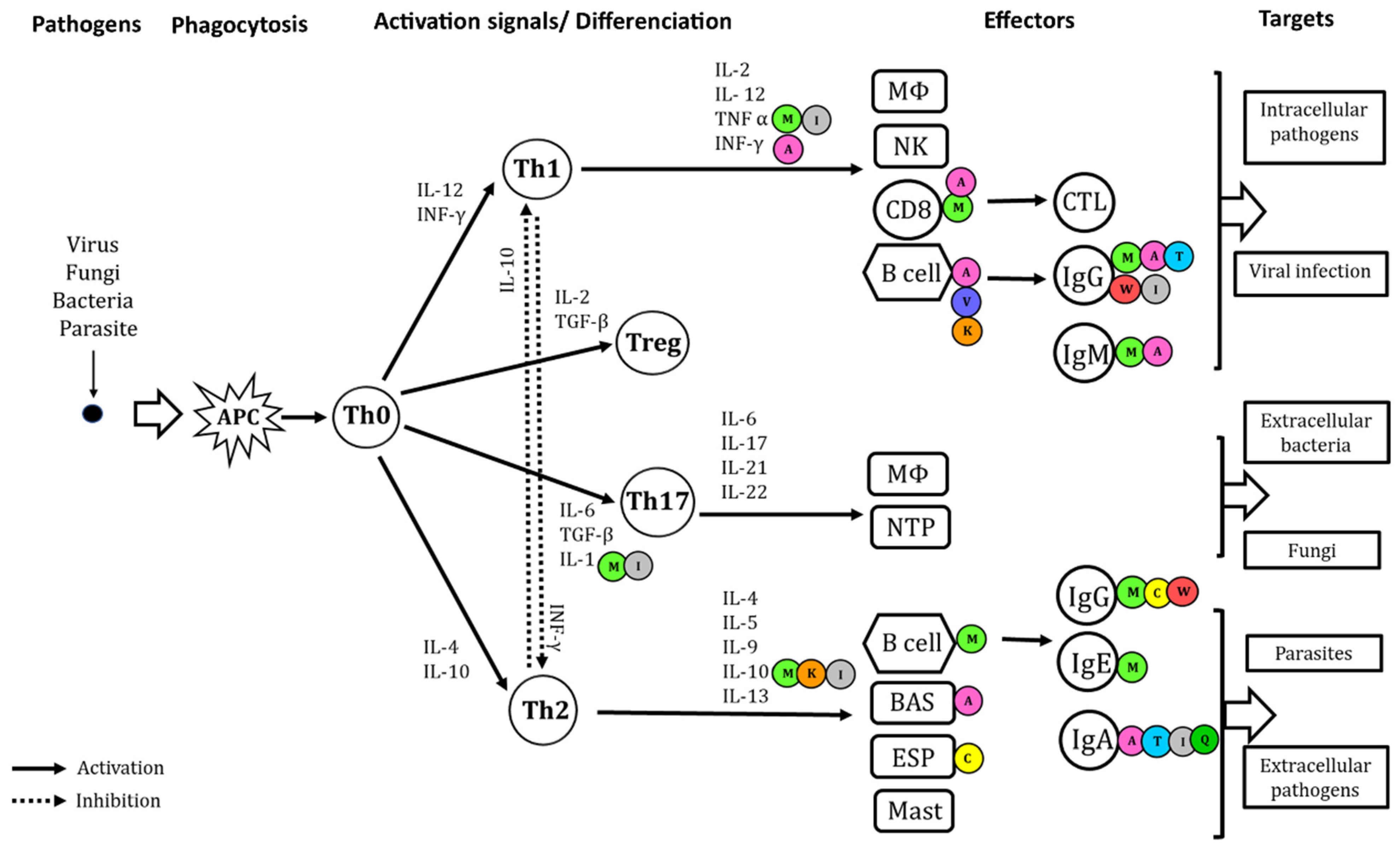 Animals 11 02813 g004 550