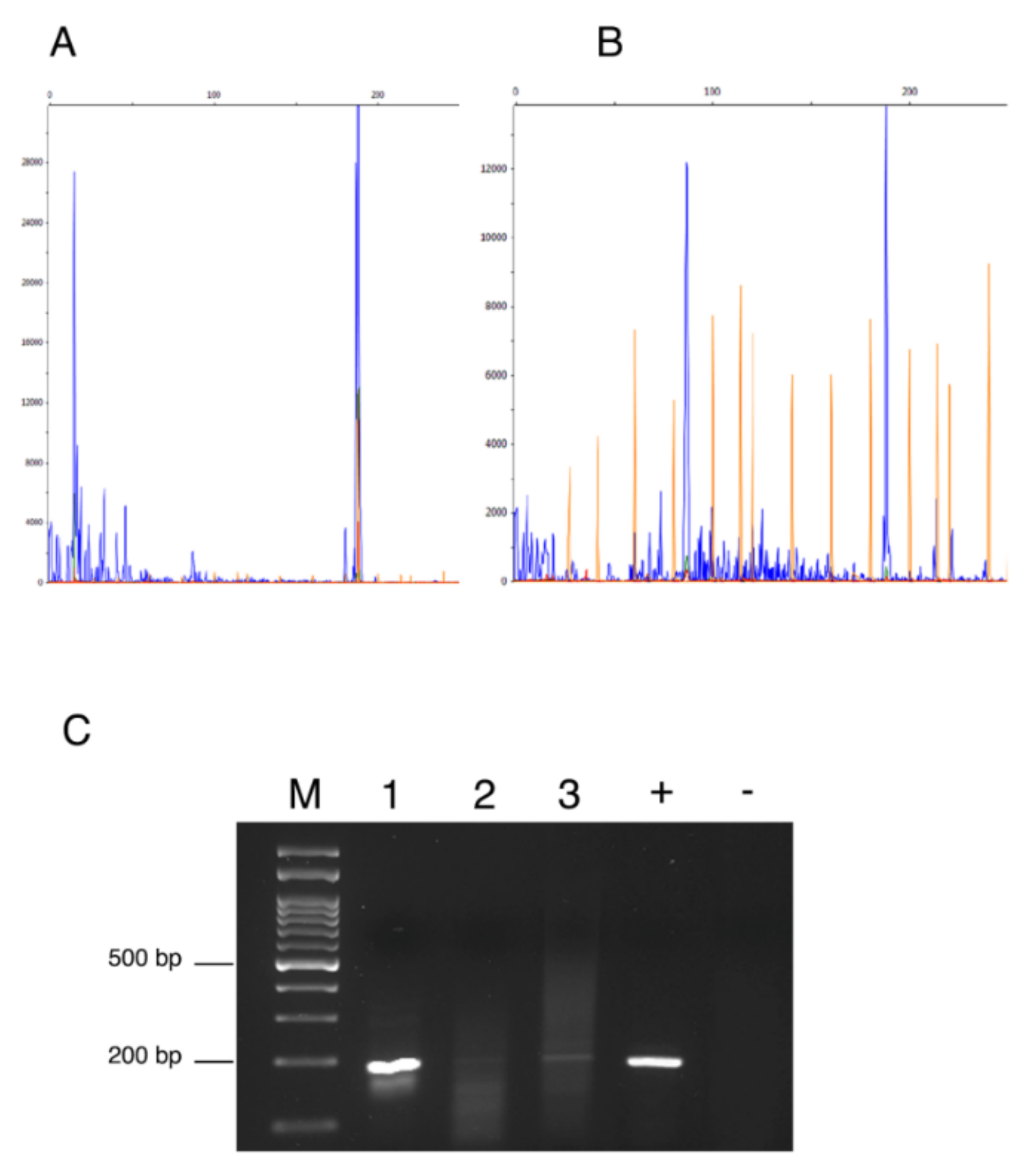 Animals 11 02821 g001 Animals 11 02821 g001