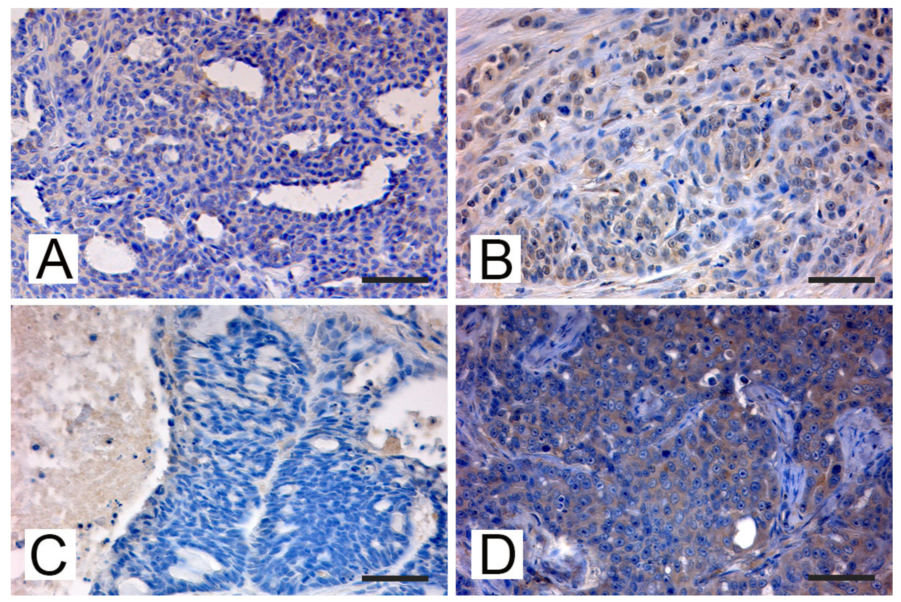 Animals 11 02821 g002 Animals 11 02821 g002