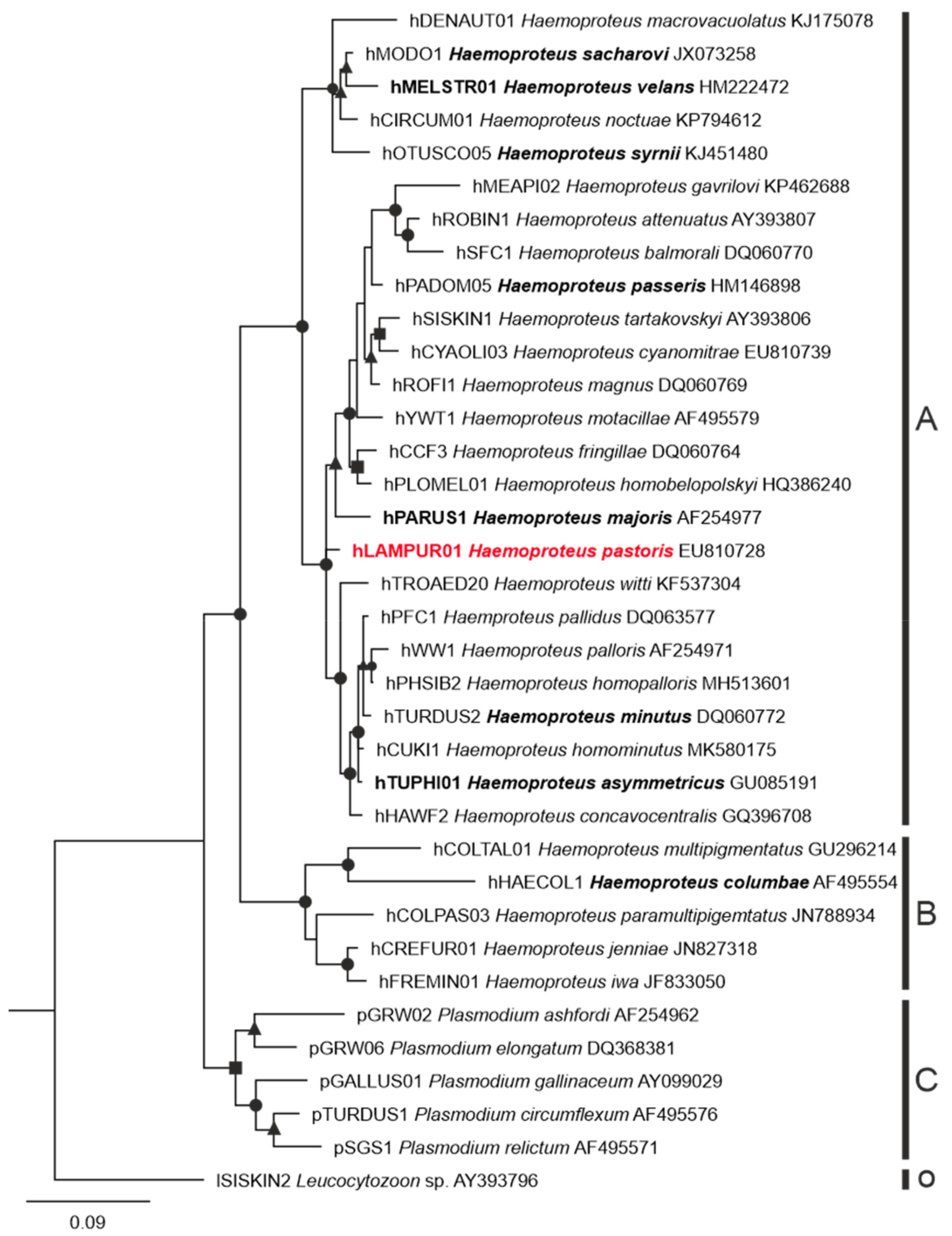 Animals 11 02824 g002 Animals 11 02824 g002