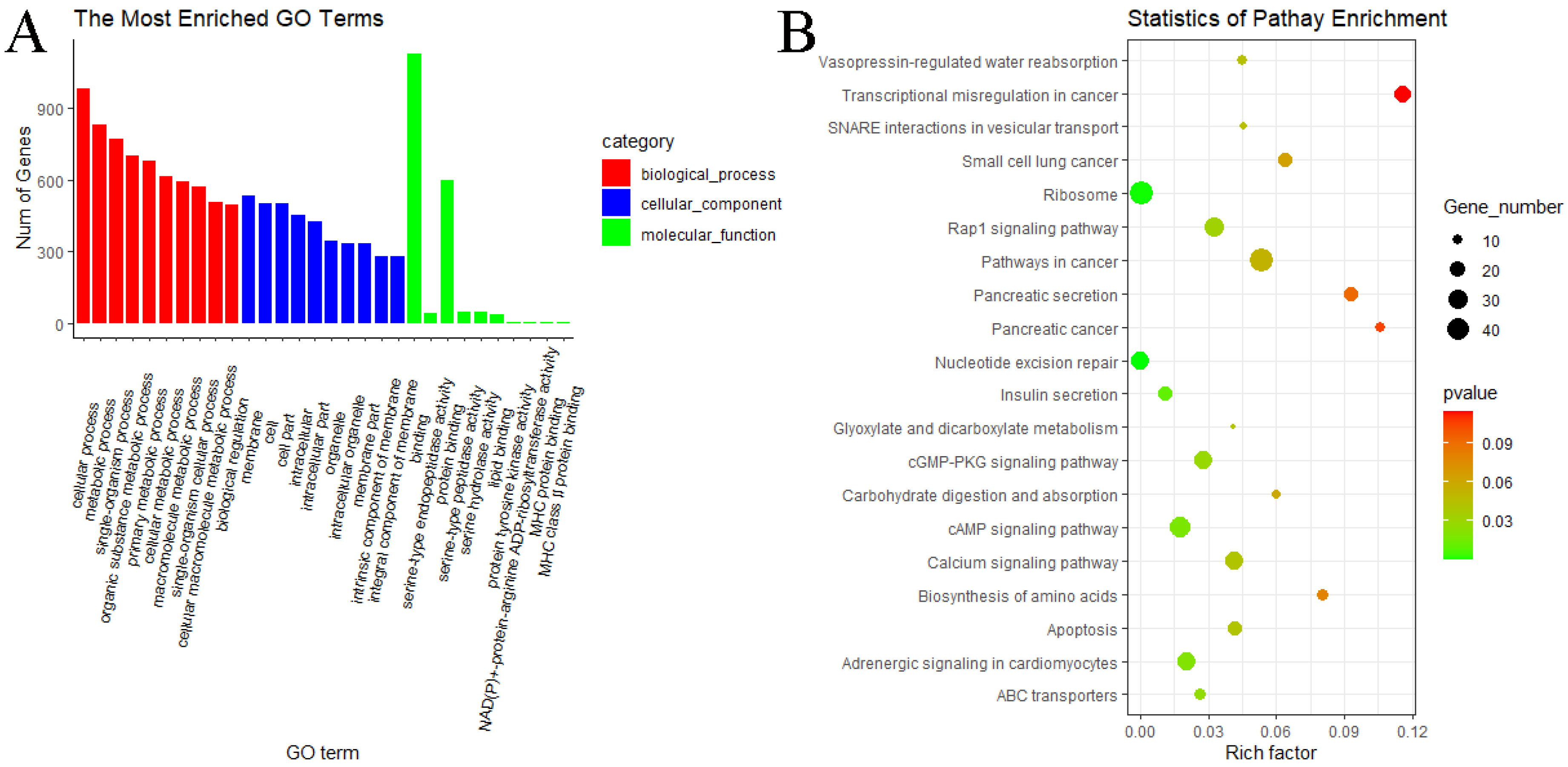 Animals 11 02826 g009