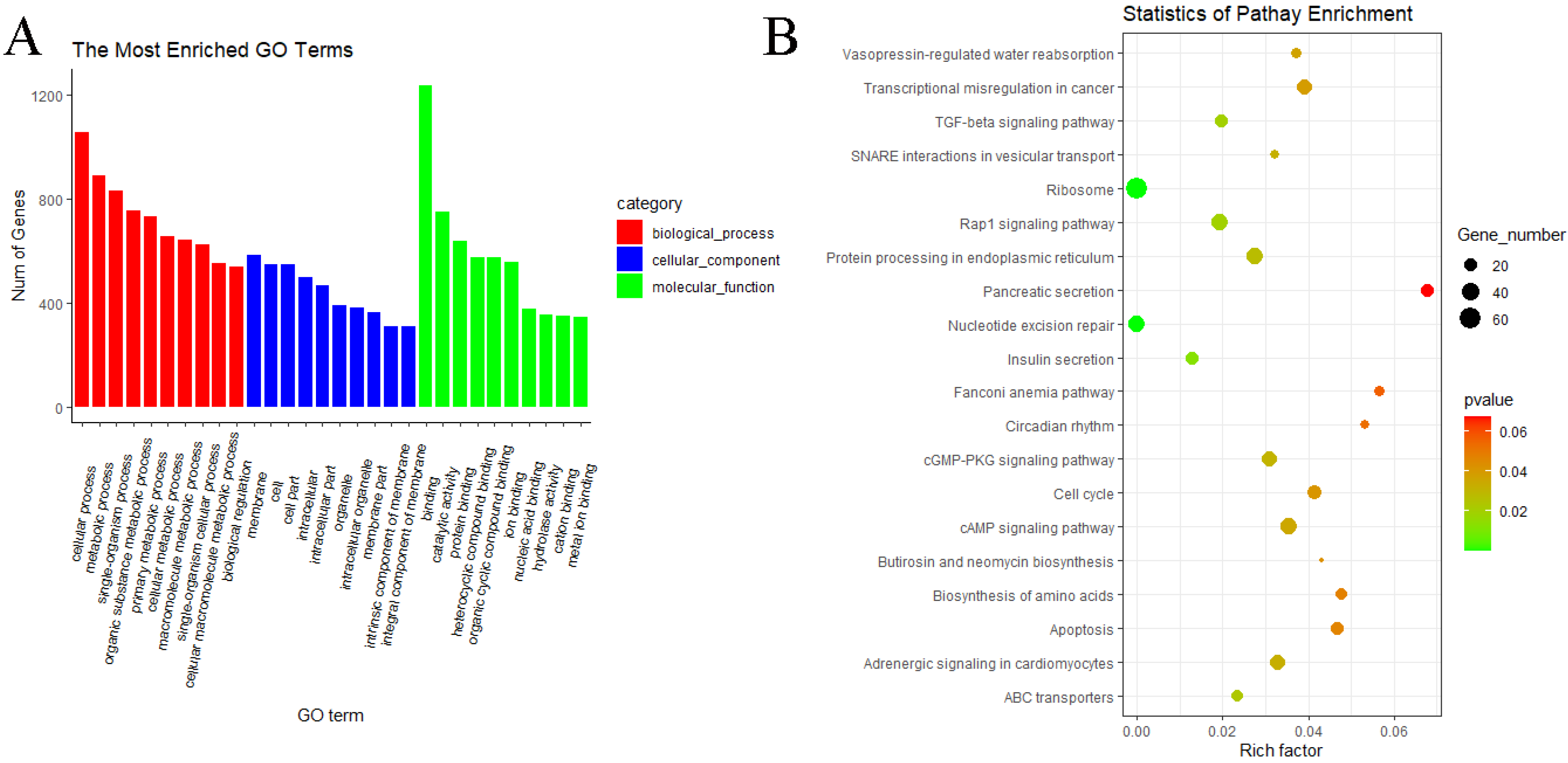 Animals 11 02826 g010