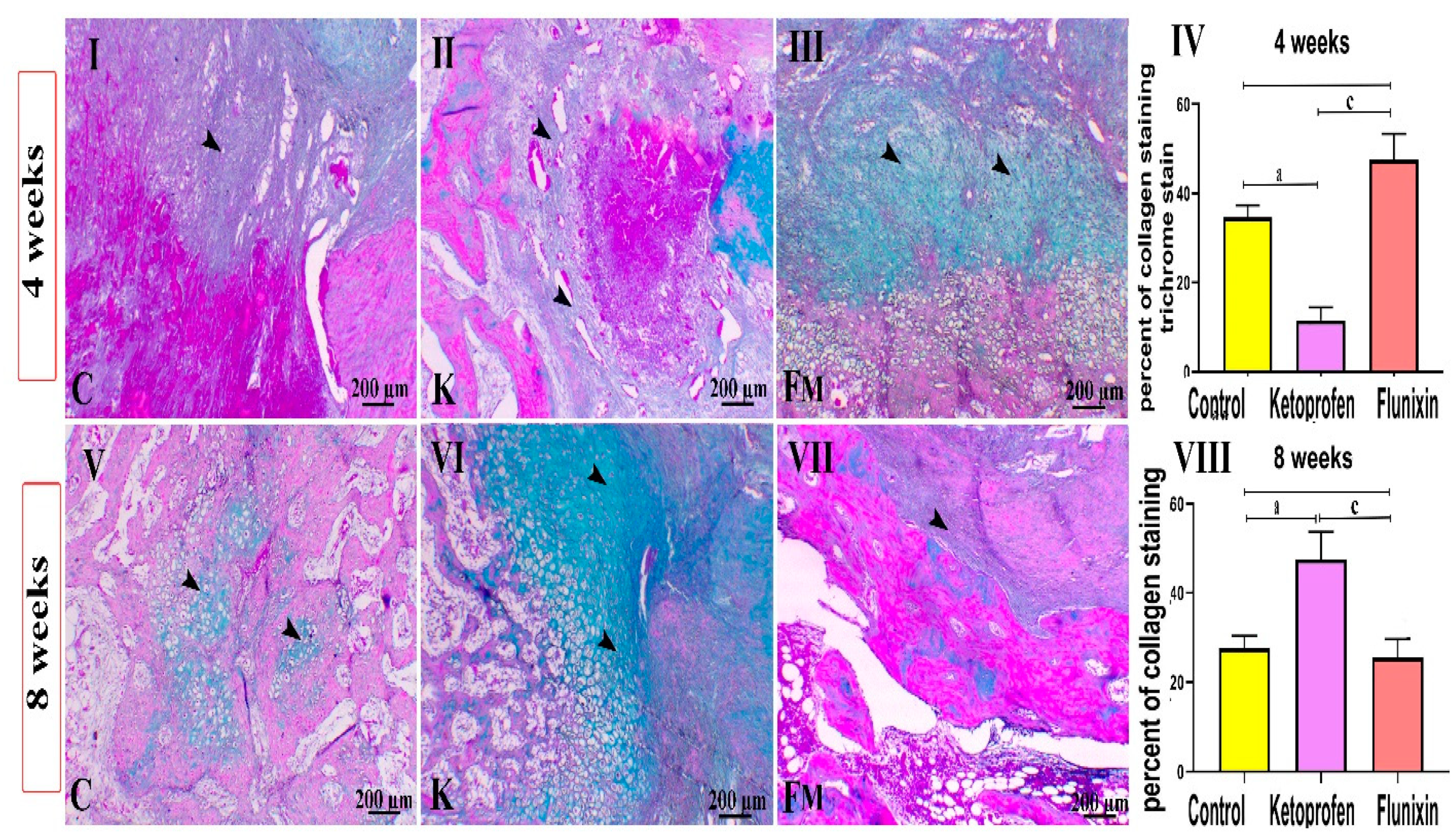 Animals 11 02834 g007