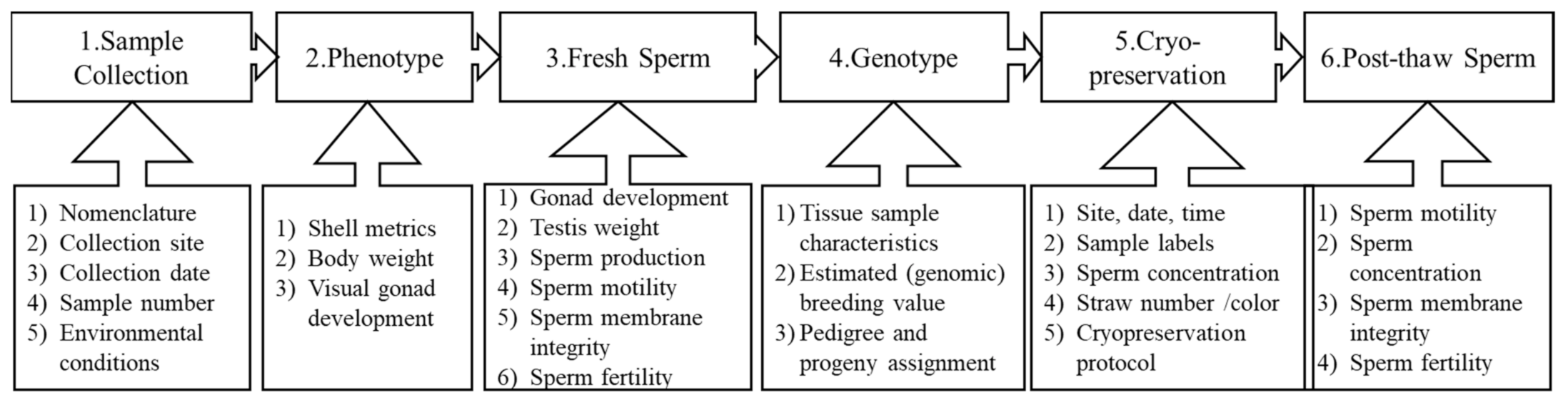 Animals 11 02836 g003 550