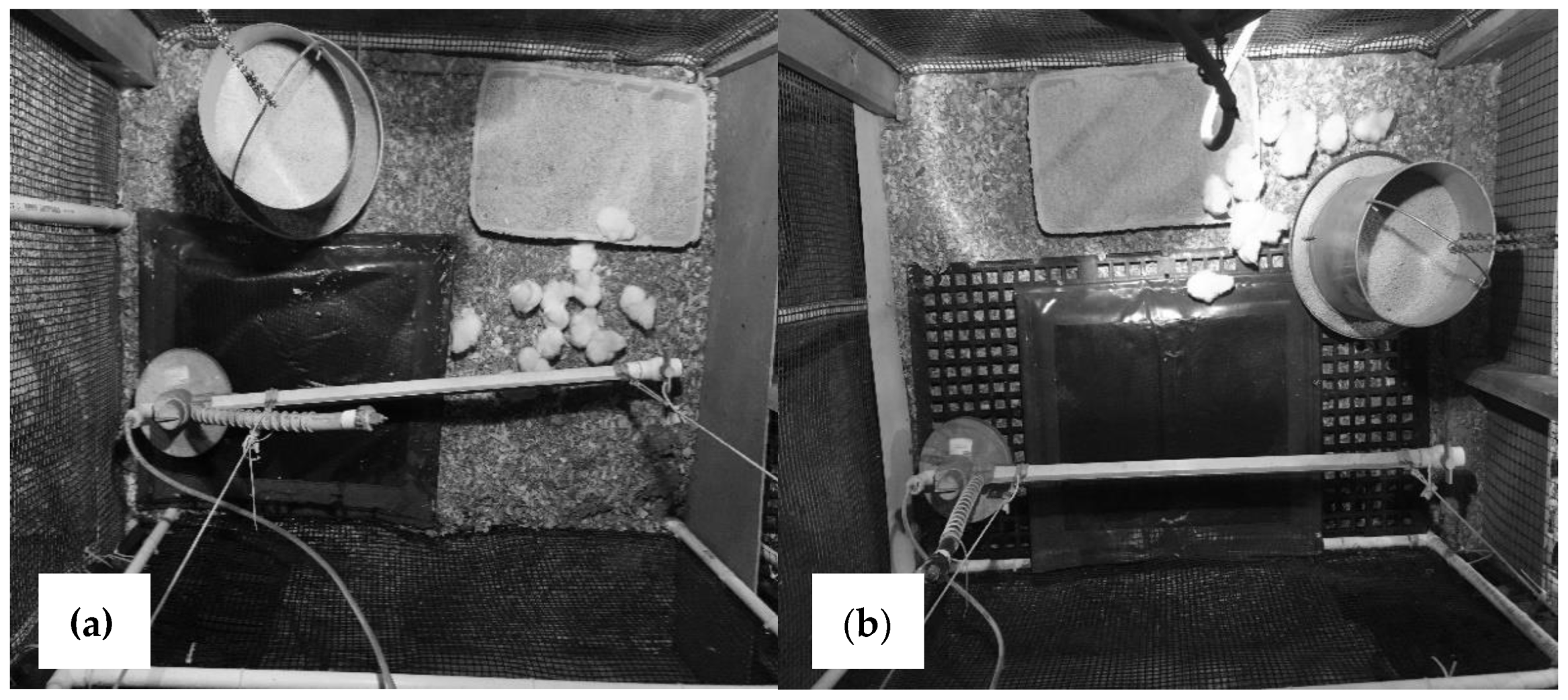 Animals 11 02841 g001