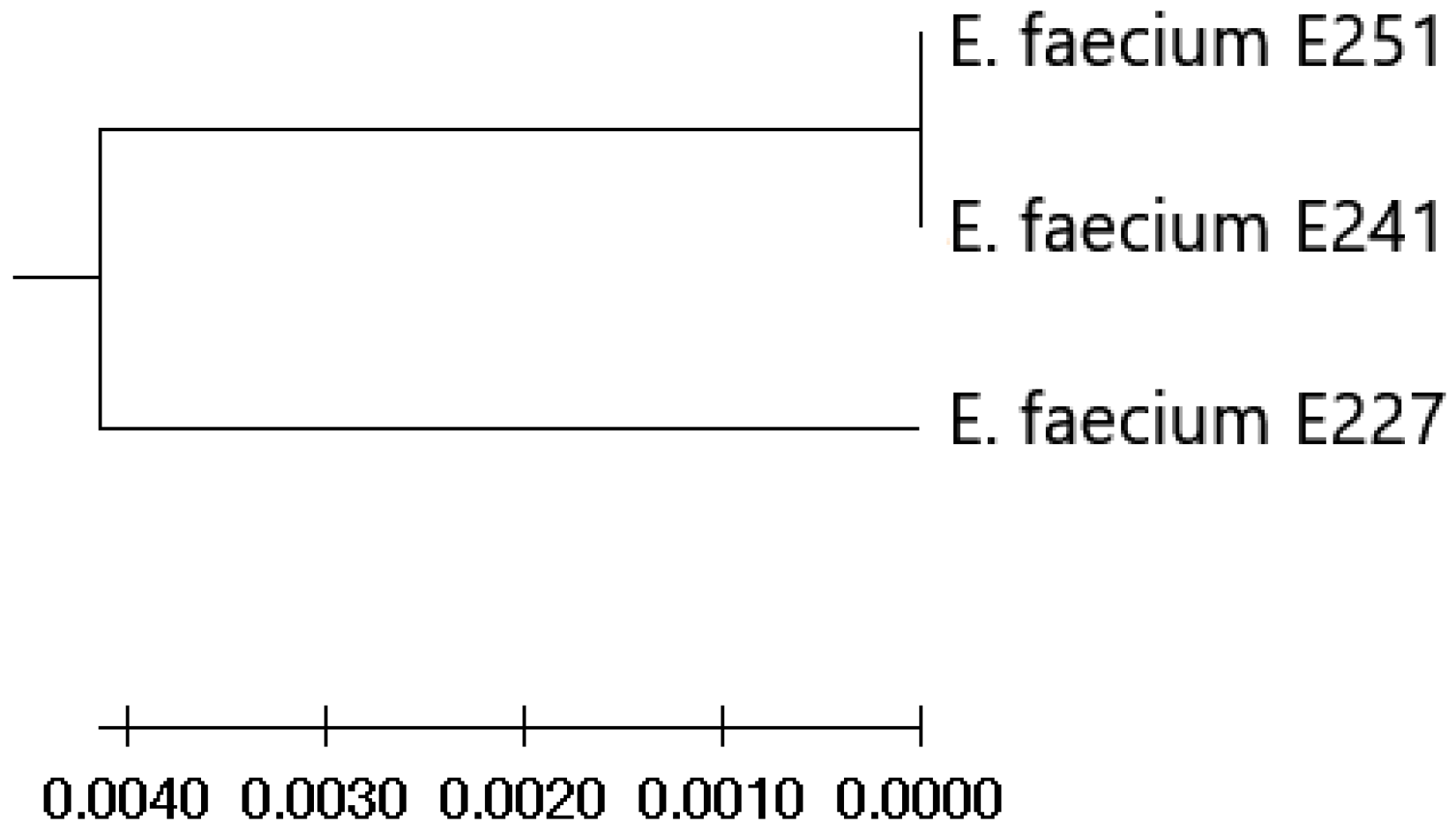 Animals 11 02845 g001