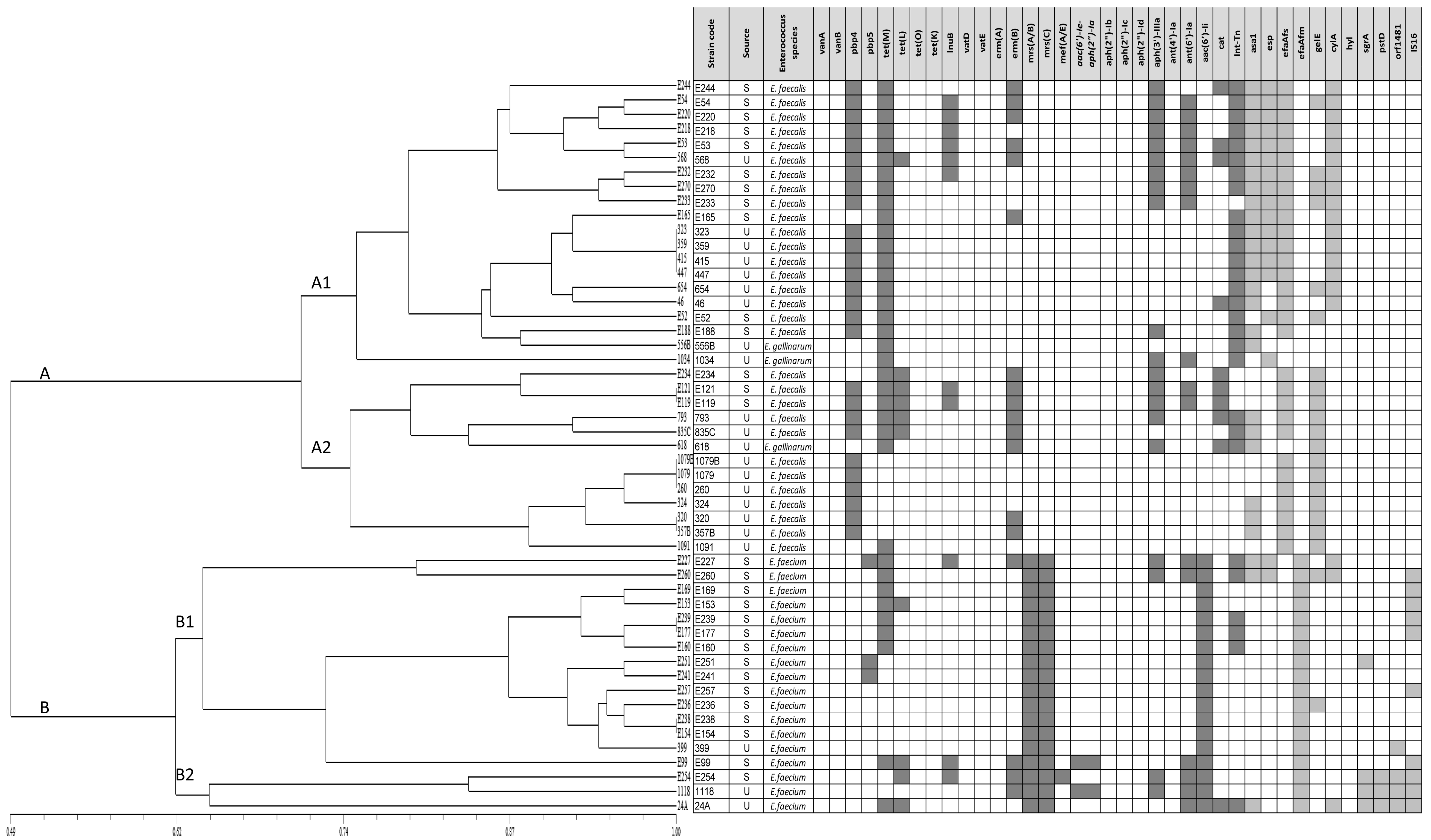 Animals 11 02845 g002