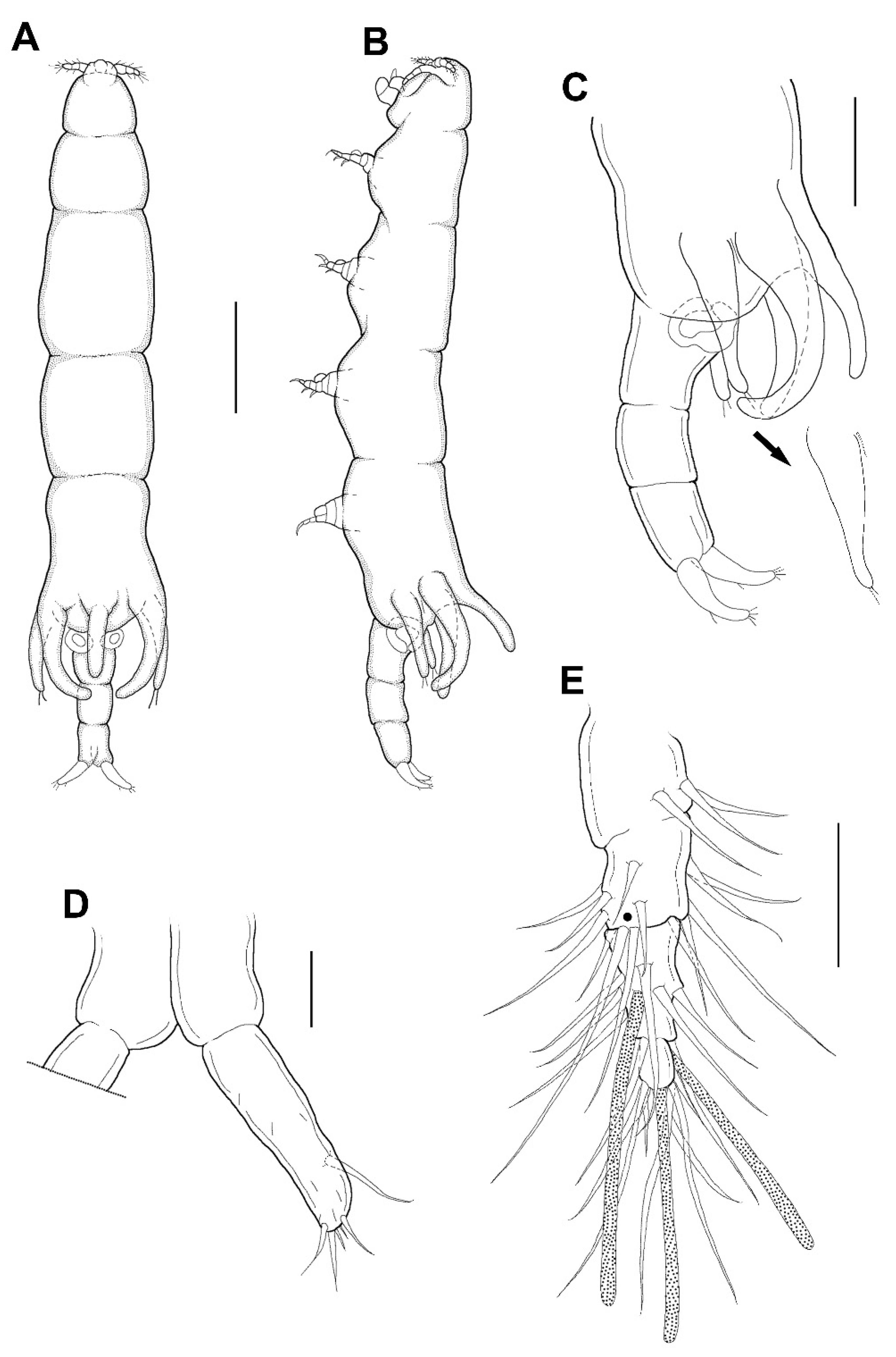 Animals 11 02847 g003