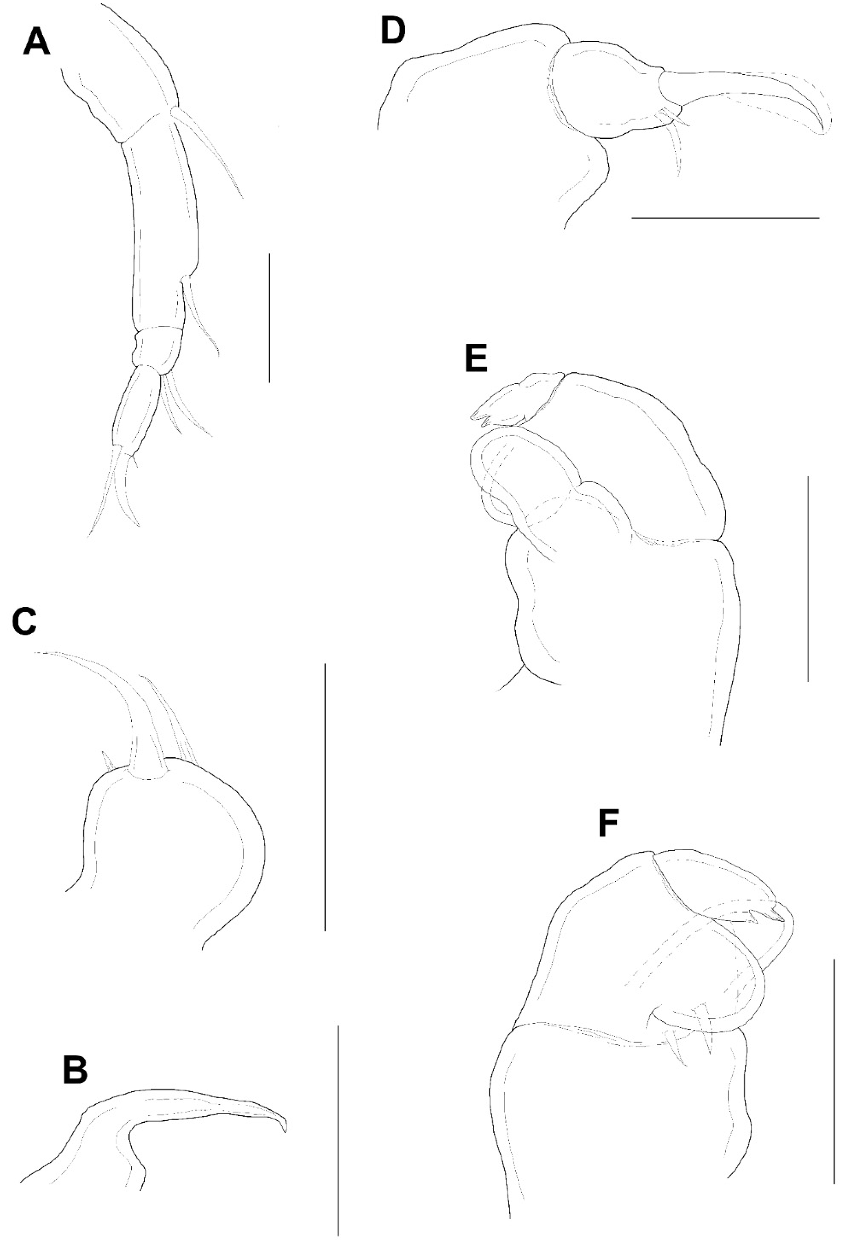 Animals 11 02847 g004