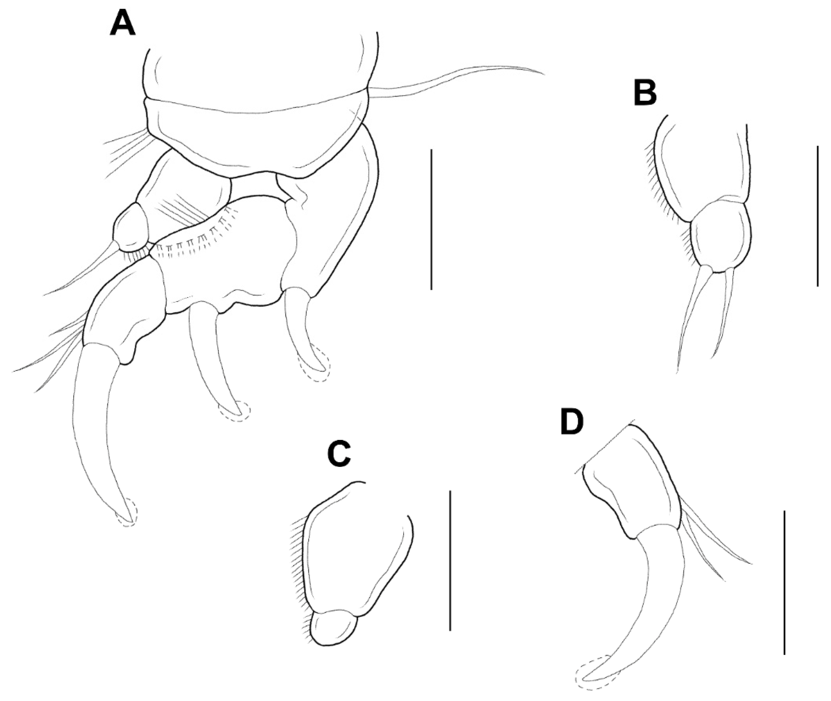 Animals 11 02847 g005