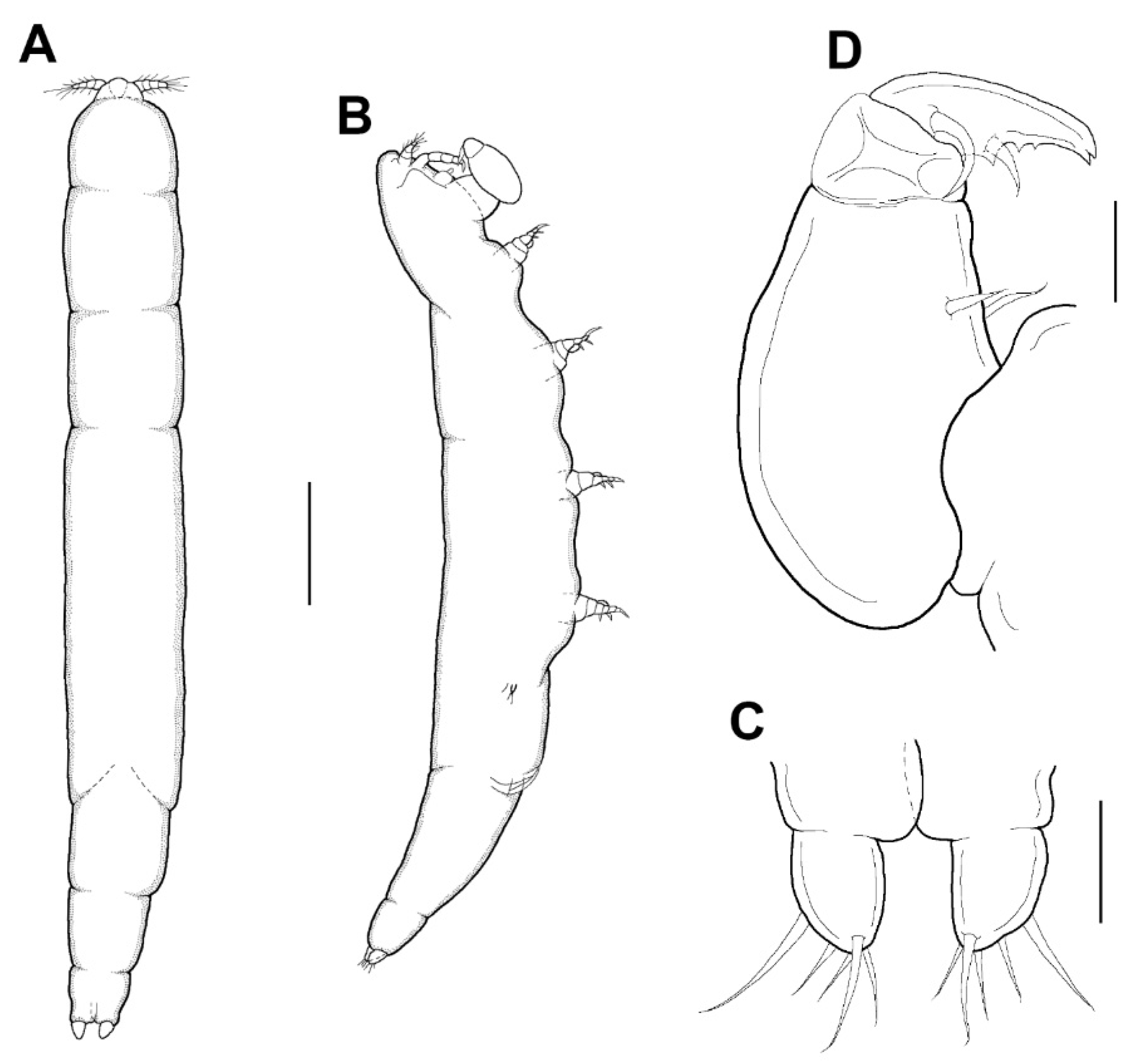 Animals 11 02847 g006