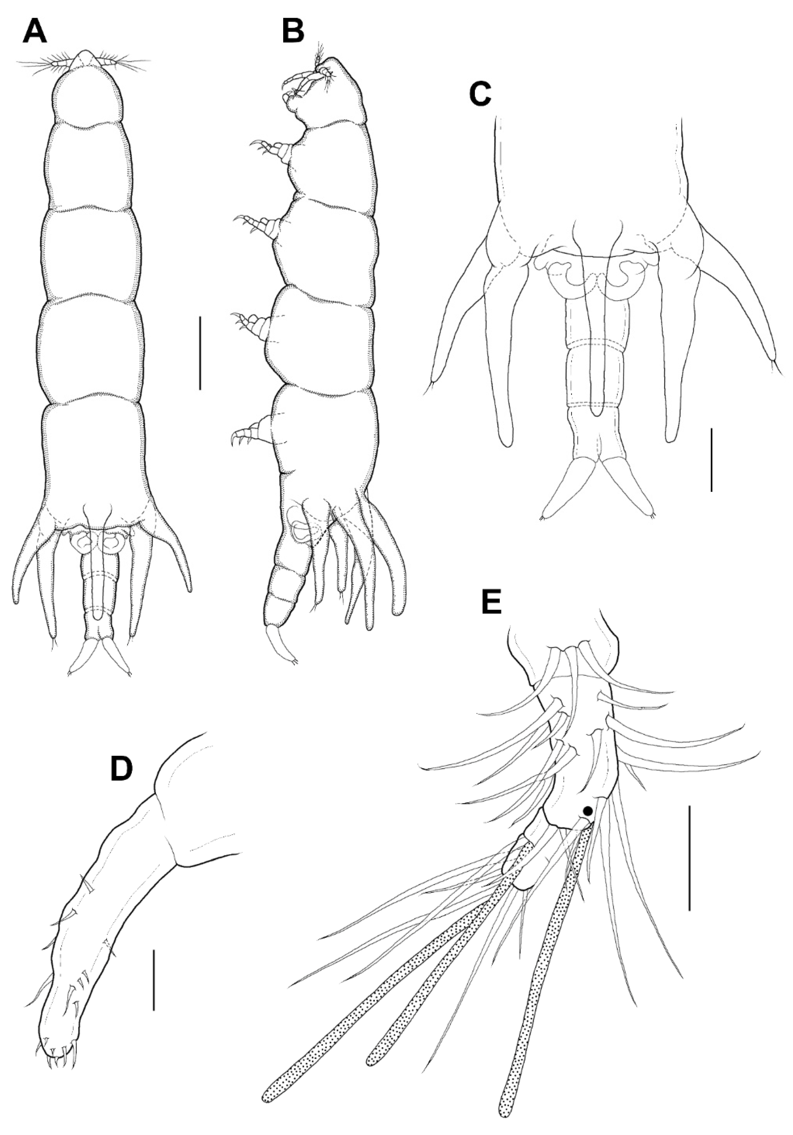 Animals 11 02847 g007
