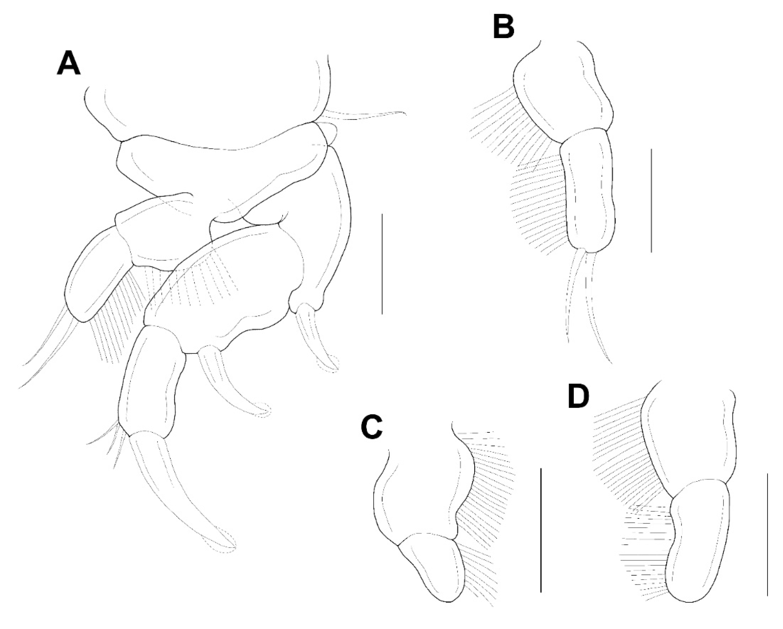 Animals 11 02847 g009