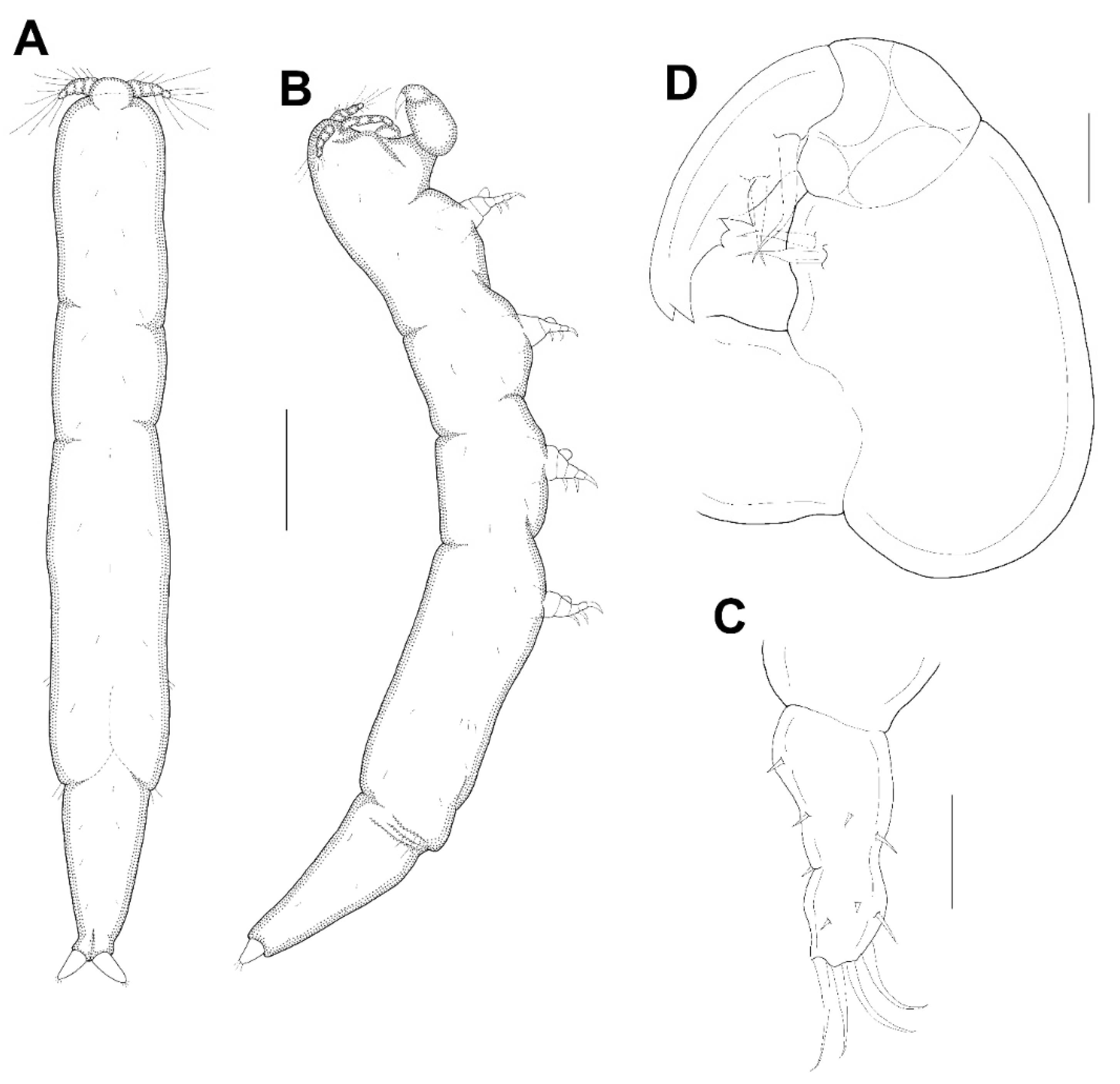 Animals 11 02847 g010