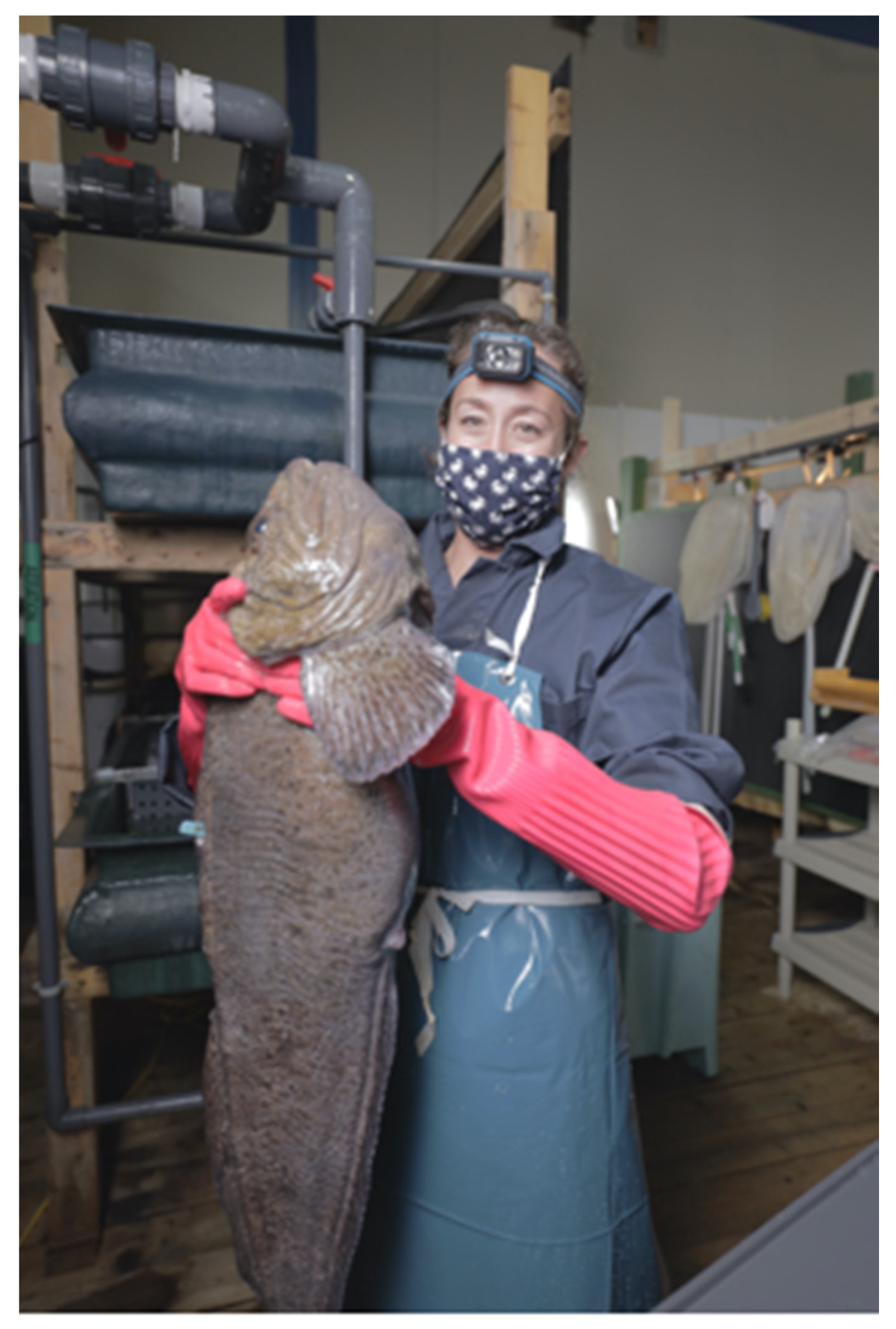 Animals 11 02849 g002 Animals 11 02849 g002