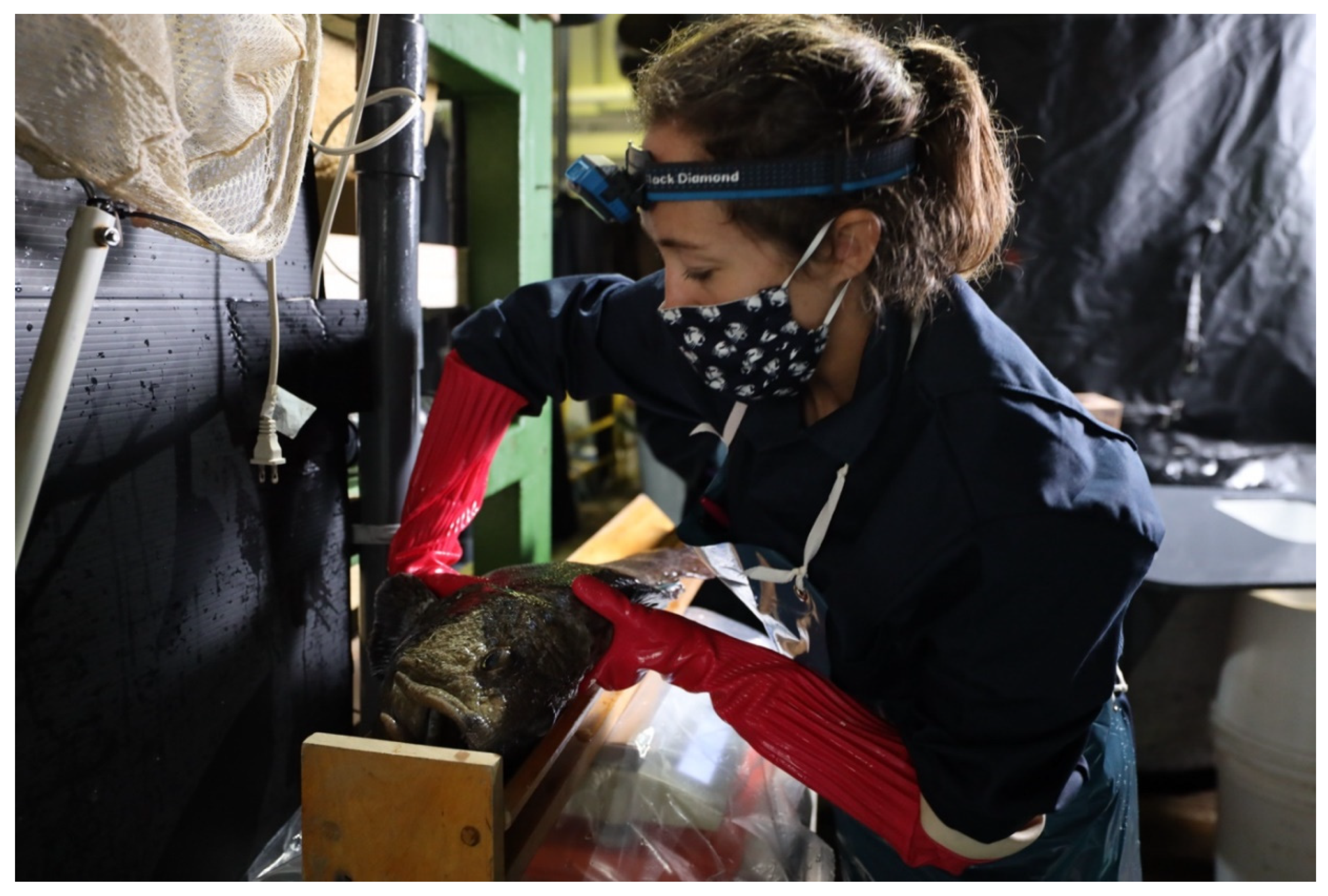 Animals 11 02849 g006 Animals 11 02849 g006