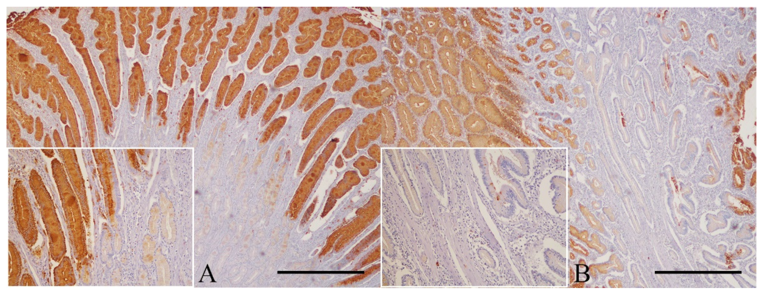 Animals 11 02855 g003 Animals 11 02855 g003