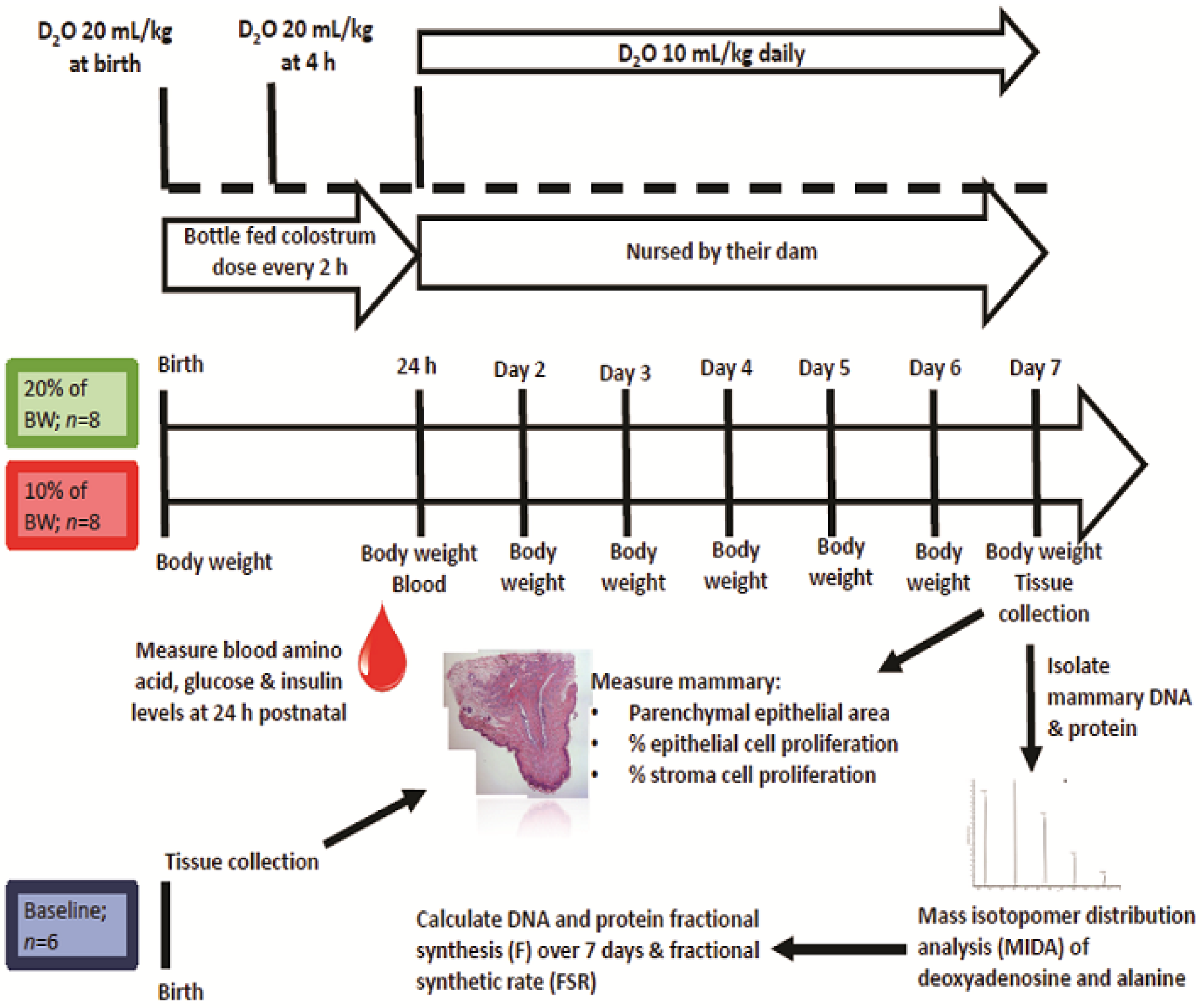 Animals 11 02867 g001 550