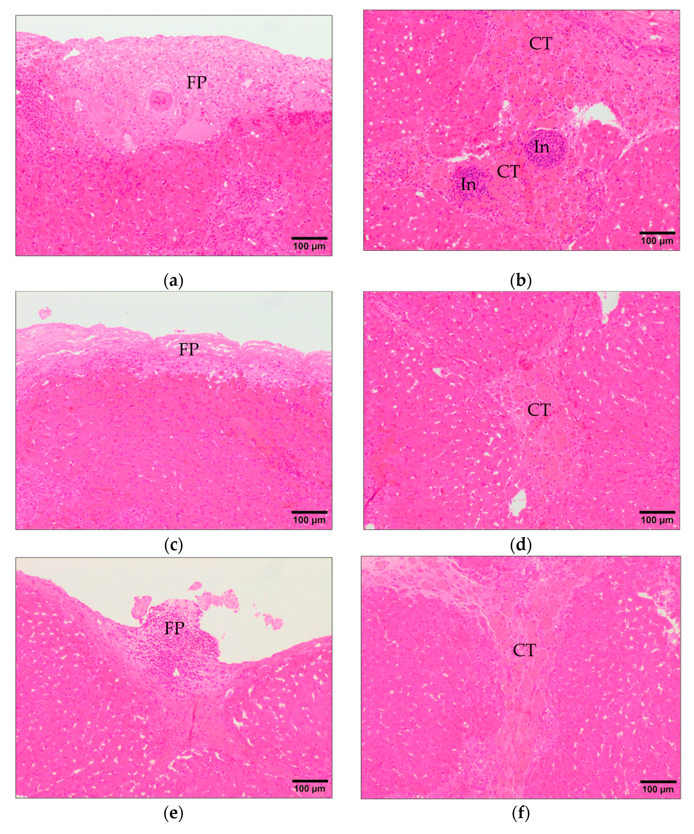 Animals 11 02869 g002