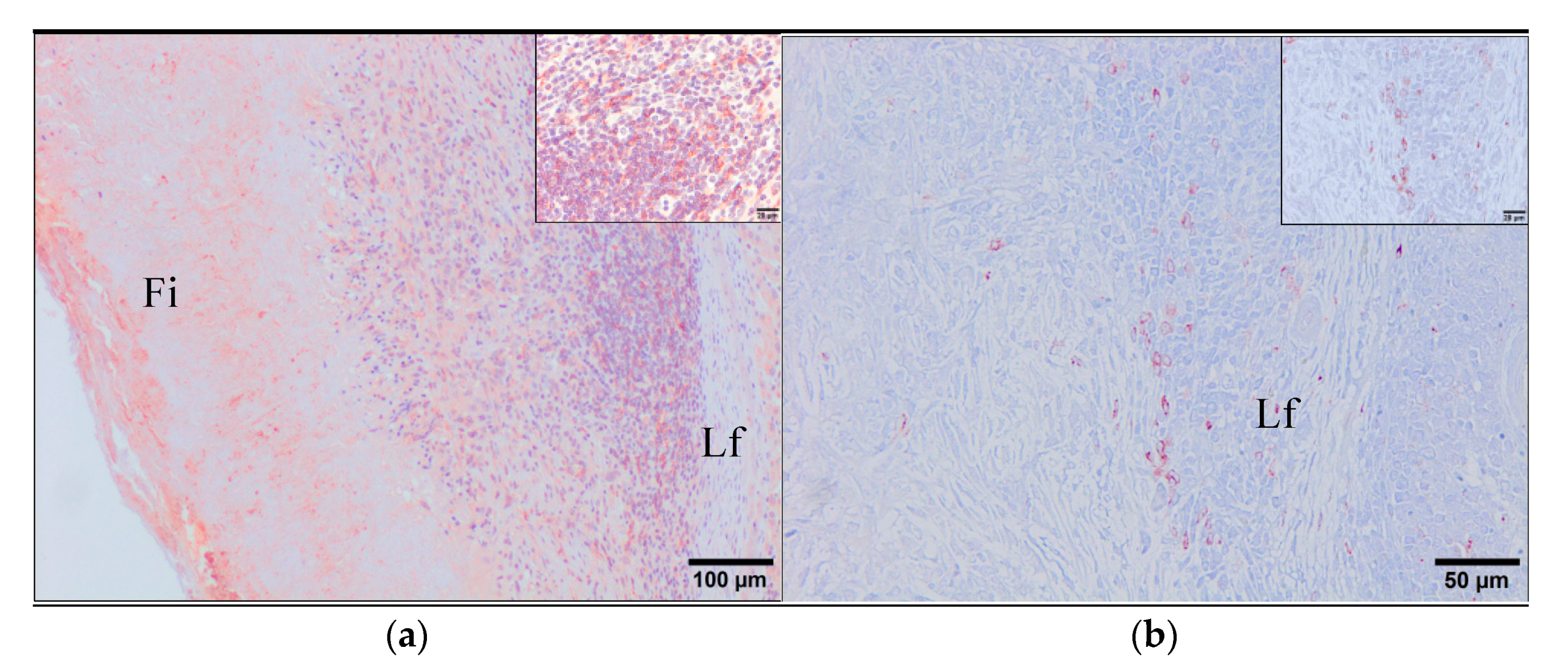 Animals 11 02869 g006a