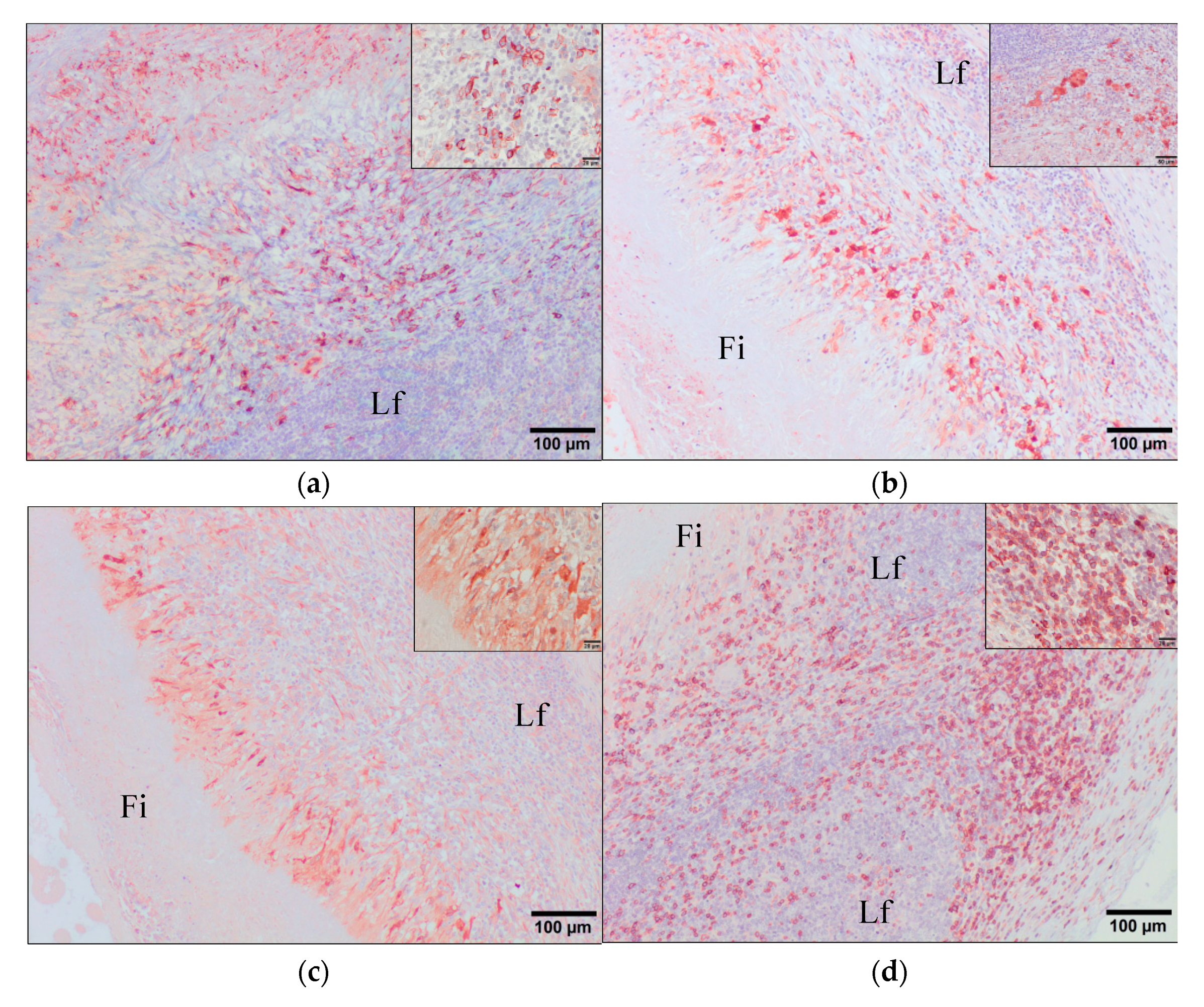 Animals 11 02869 g007a