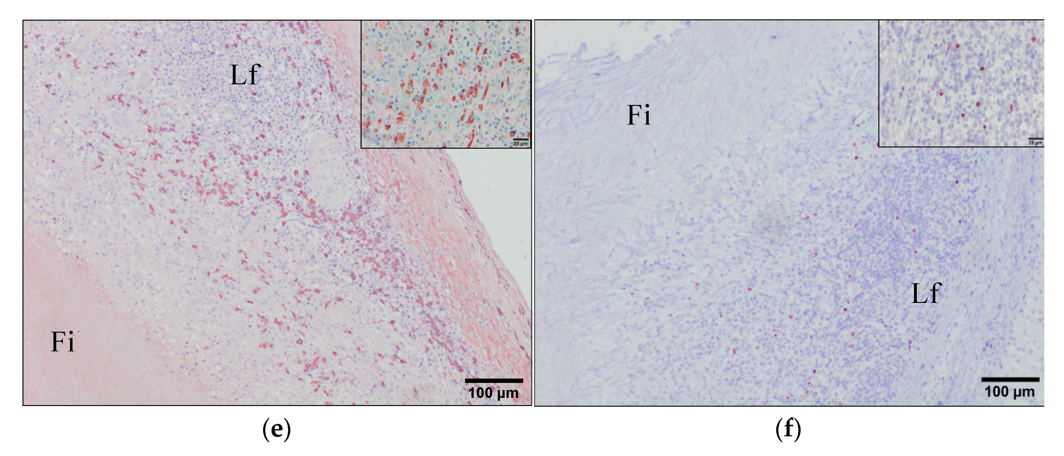 Animals 11 02869 g007b