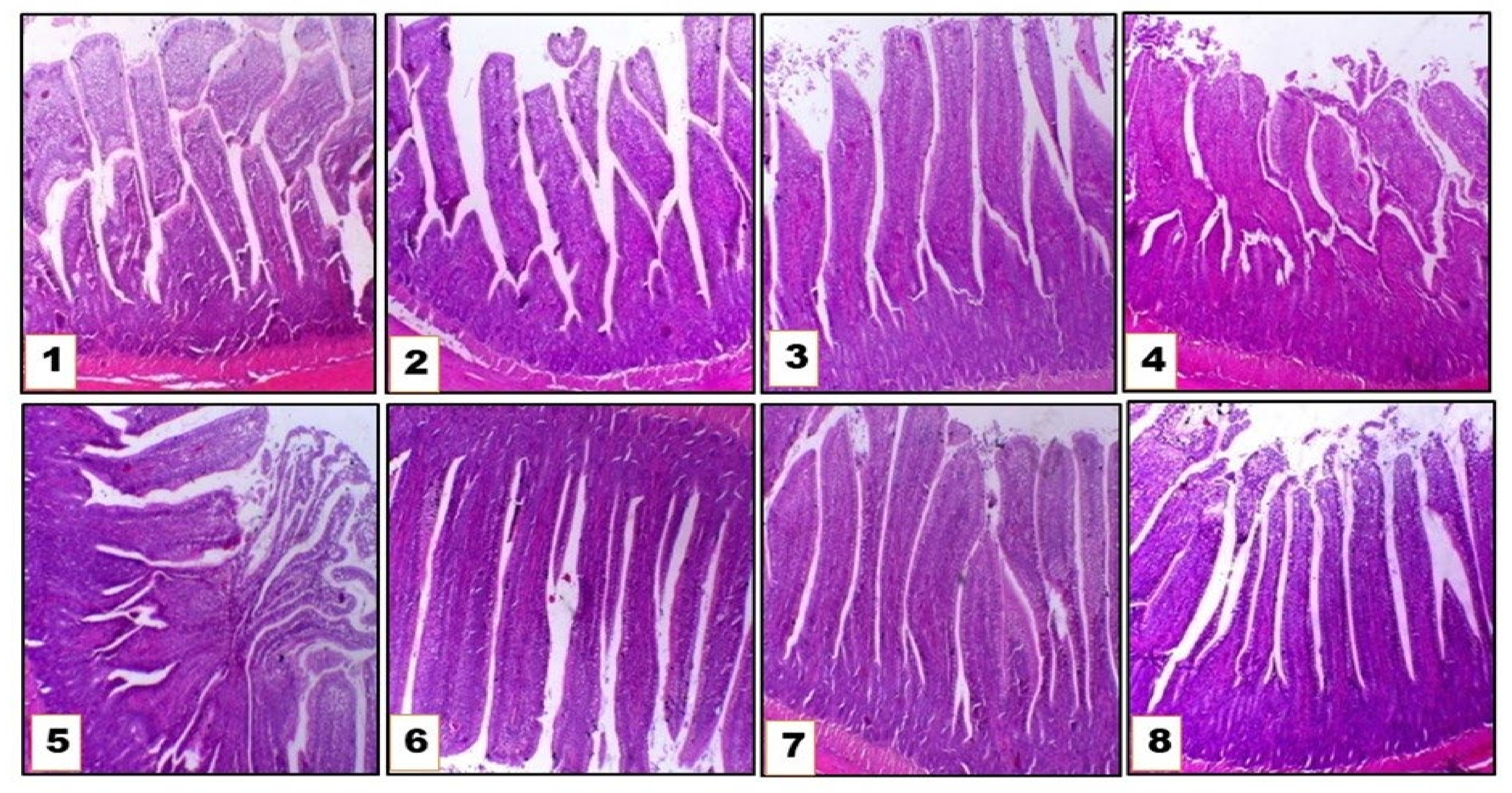 Animals 11 02873 g003 Animals 11 02873 g003