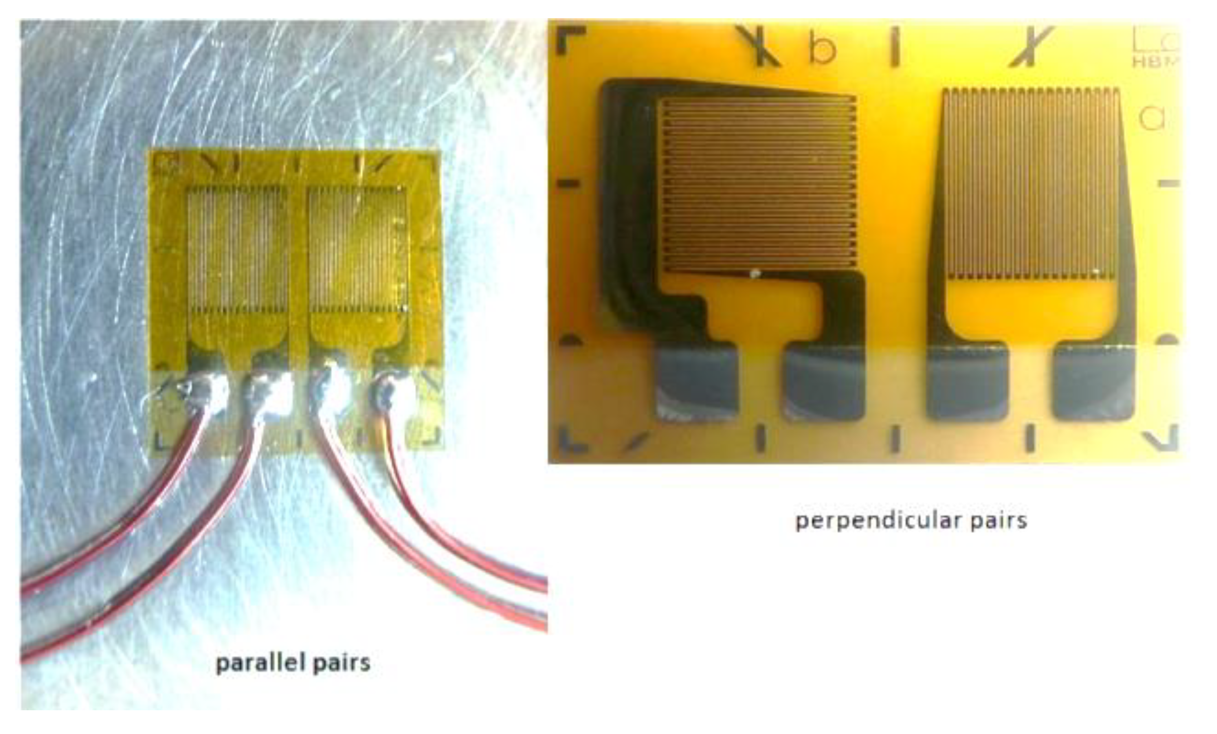 Animals 11 02875 g002 550