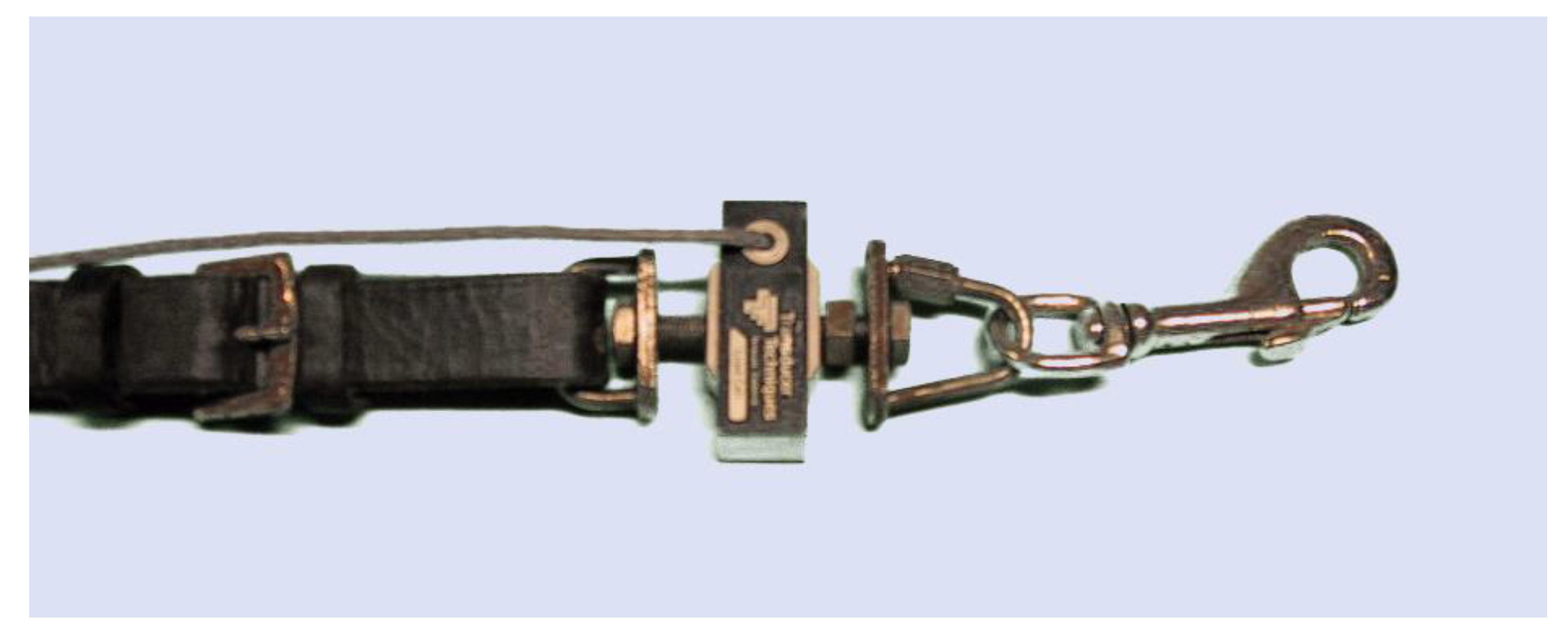 Animals 11 02875 g005 550