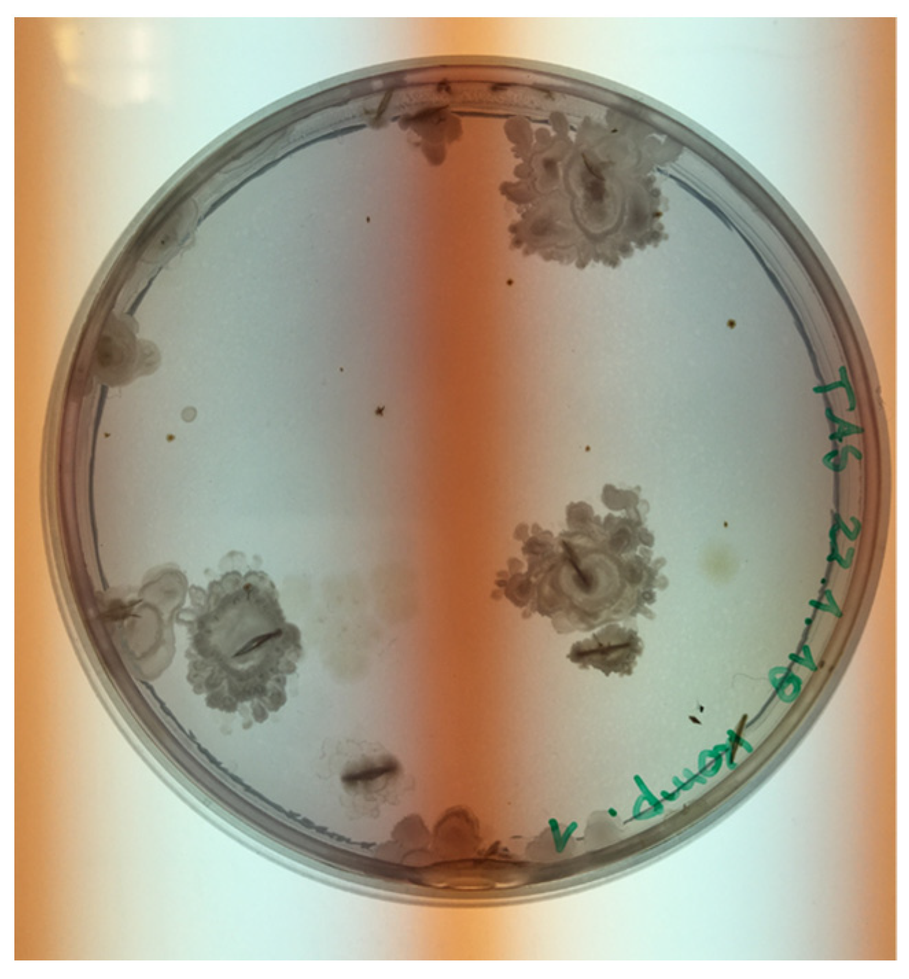 Animals 11 02890 g001