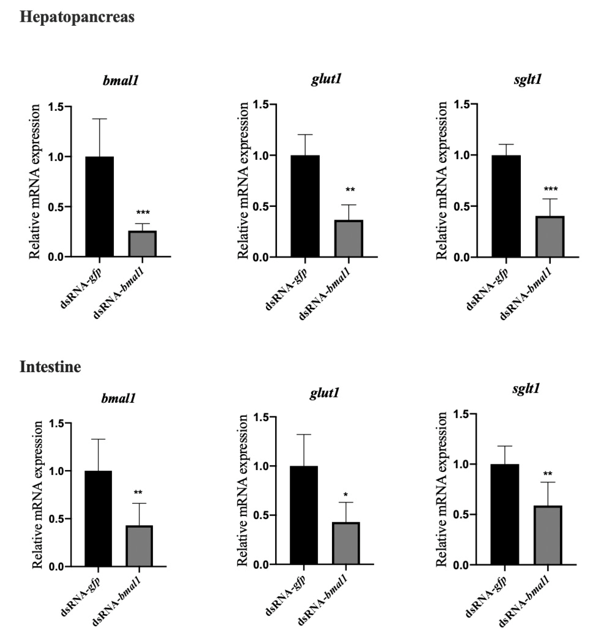 Animals 11 02893 g004 Animals 11 02893 g004